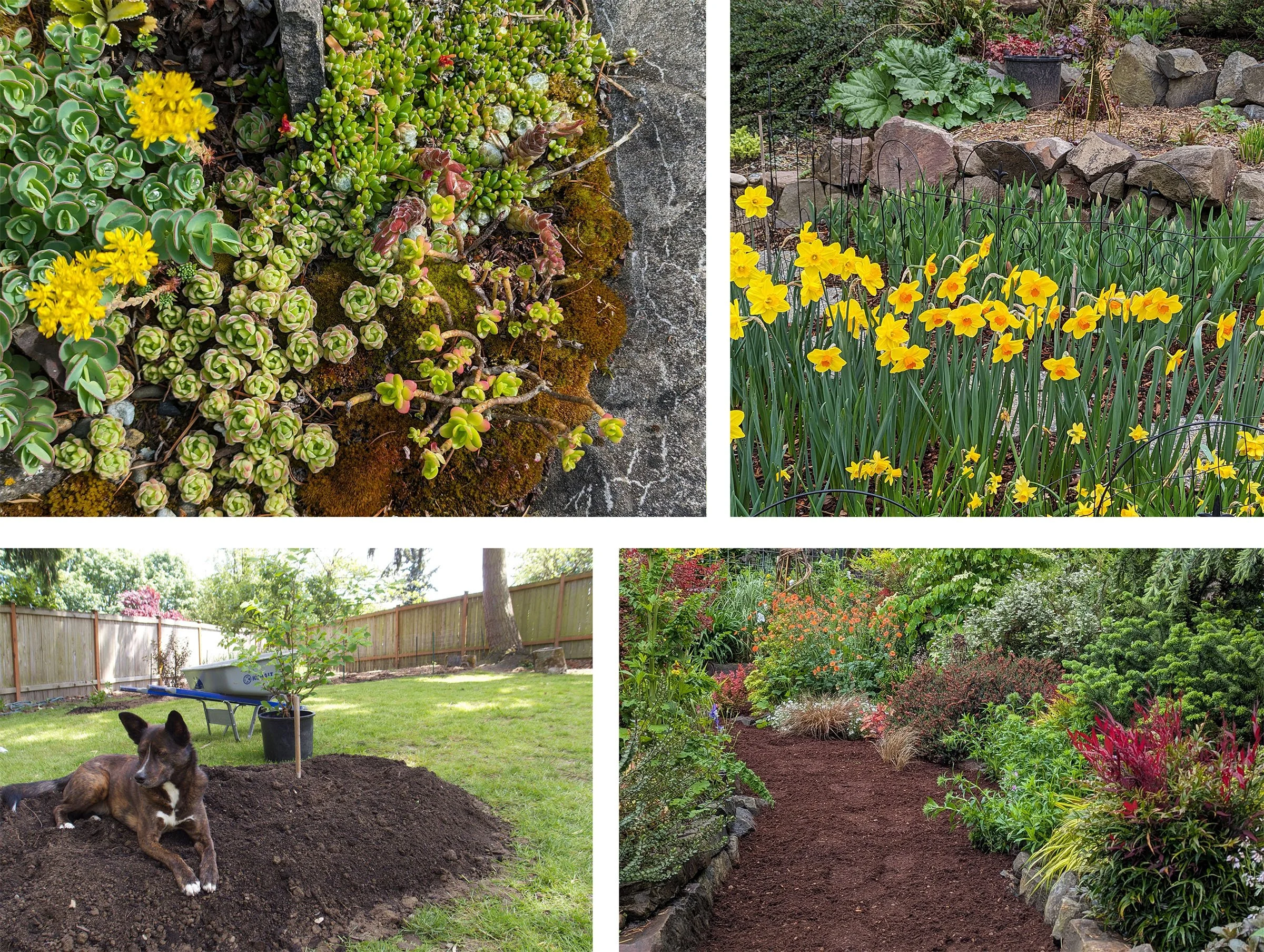 Free Garden Talk at 21 Acres in Woodinville