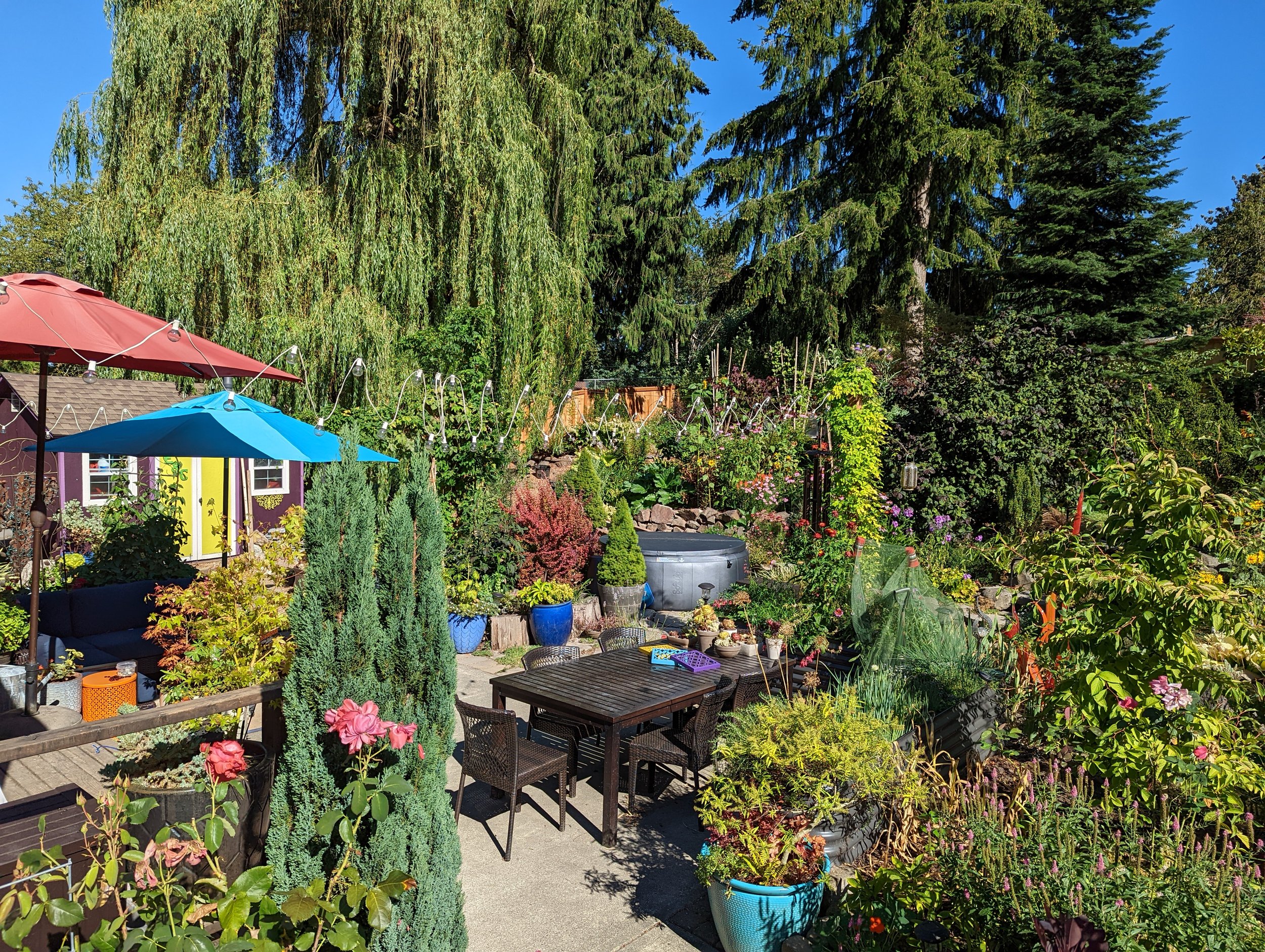 Open garden, Saturday August 8th