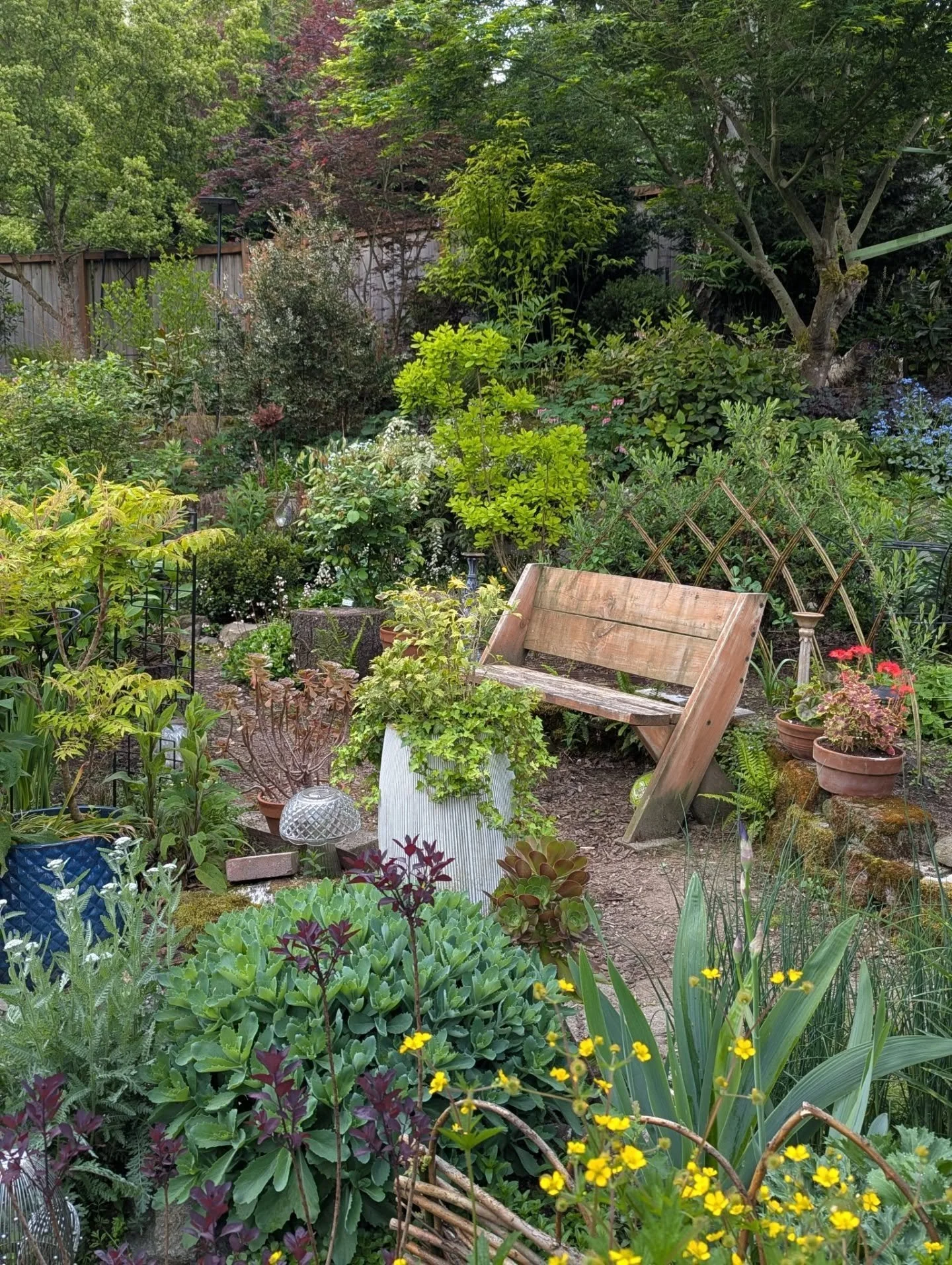 The first photo here is a decent representation of my overall garden approach. There are plenty of flowers in my garden, but they're generally seasonal accents to the foliage, form, and structure provided by trees, shrubs, paths, and rockwork. When y
