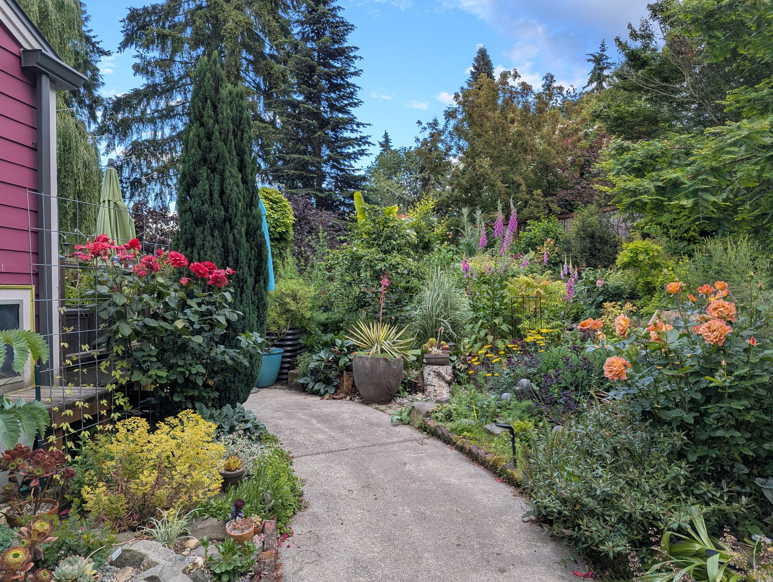 Open garden and plant sale, Sat. June 13th, 10am to 4pm