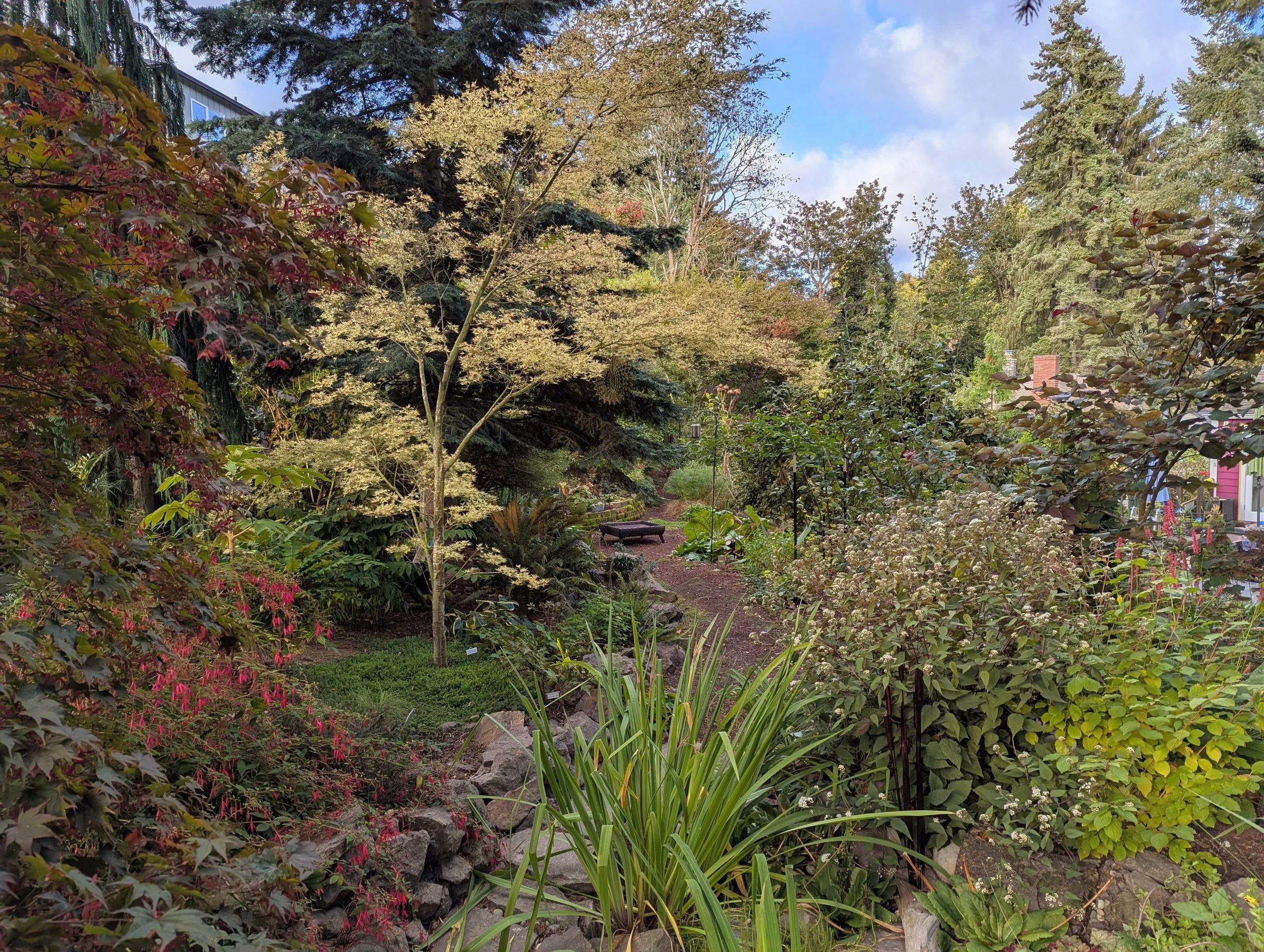 October Plant Week: Open nursery and garden