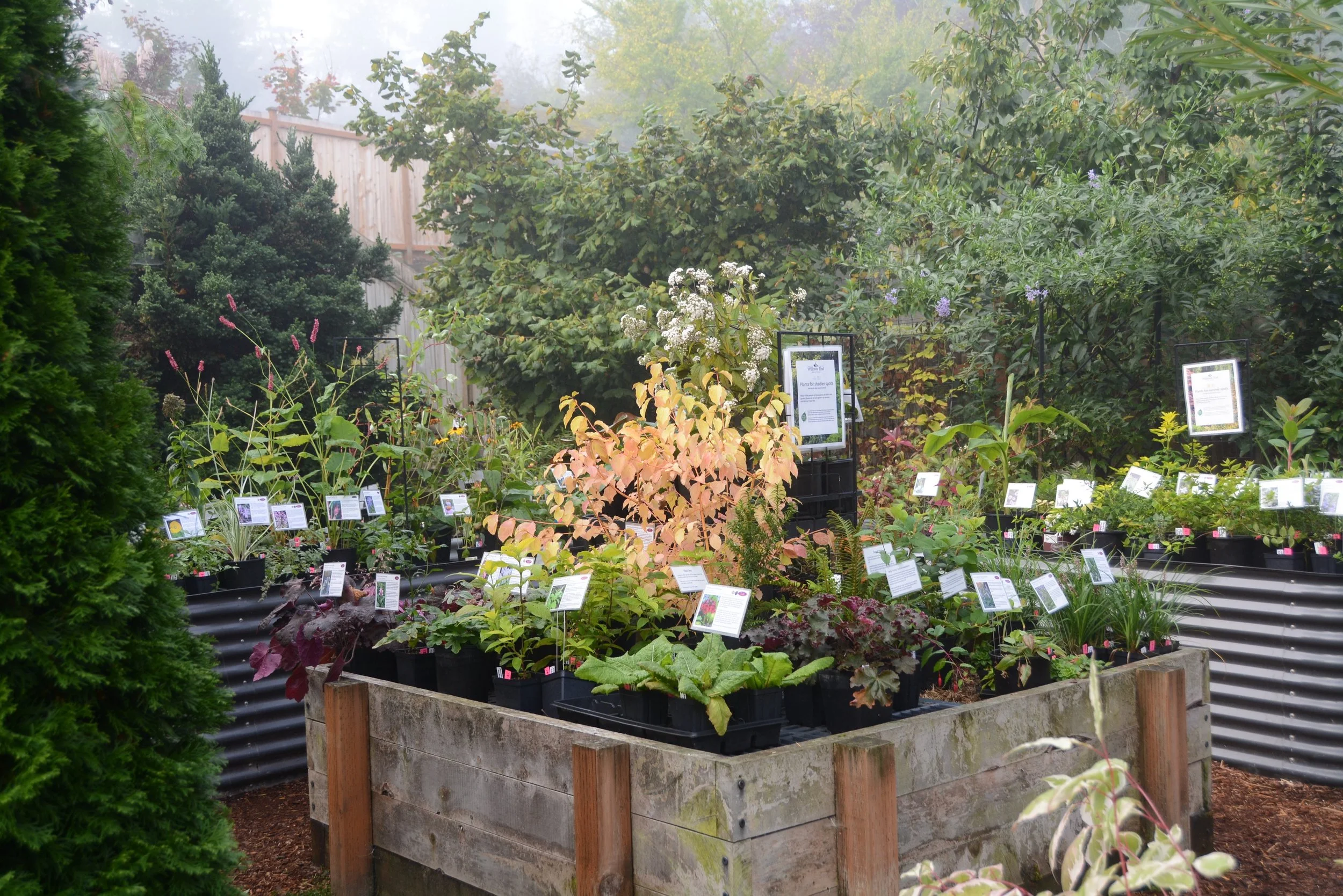 Sales area of the nursery