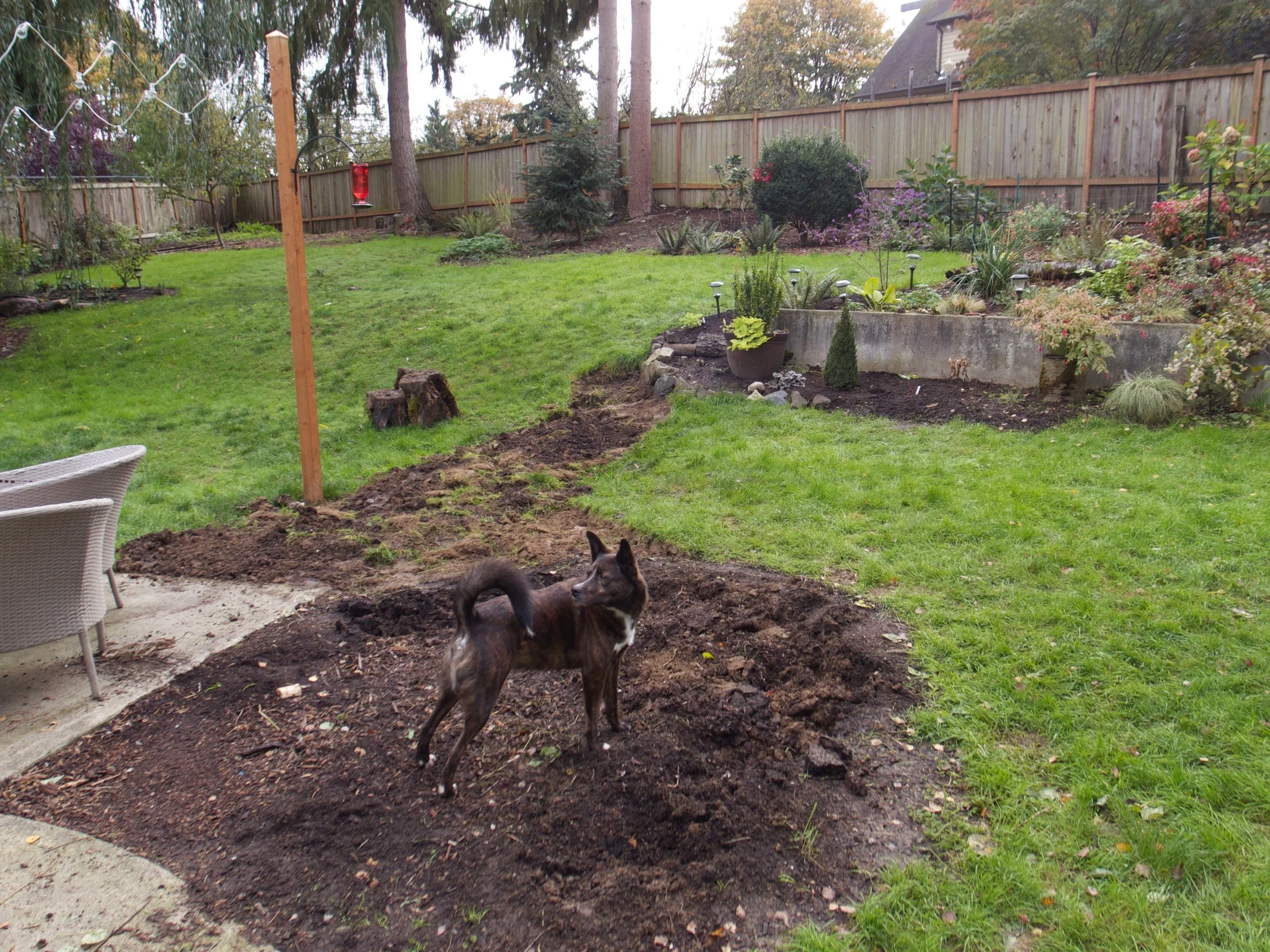 2014: Starting to define garden beds