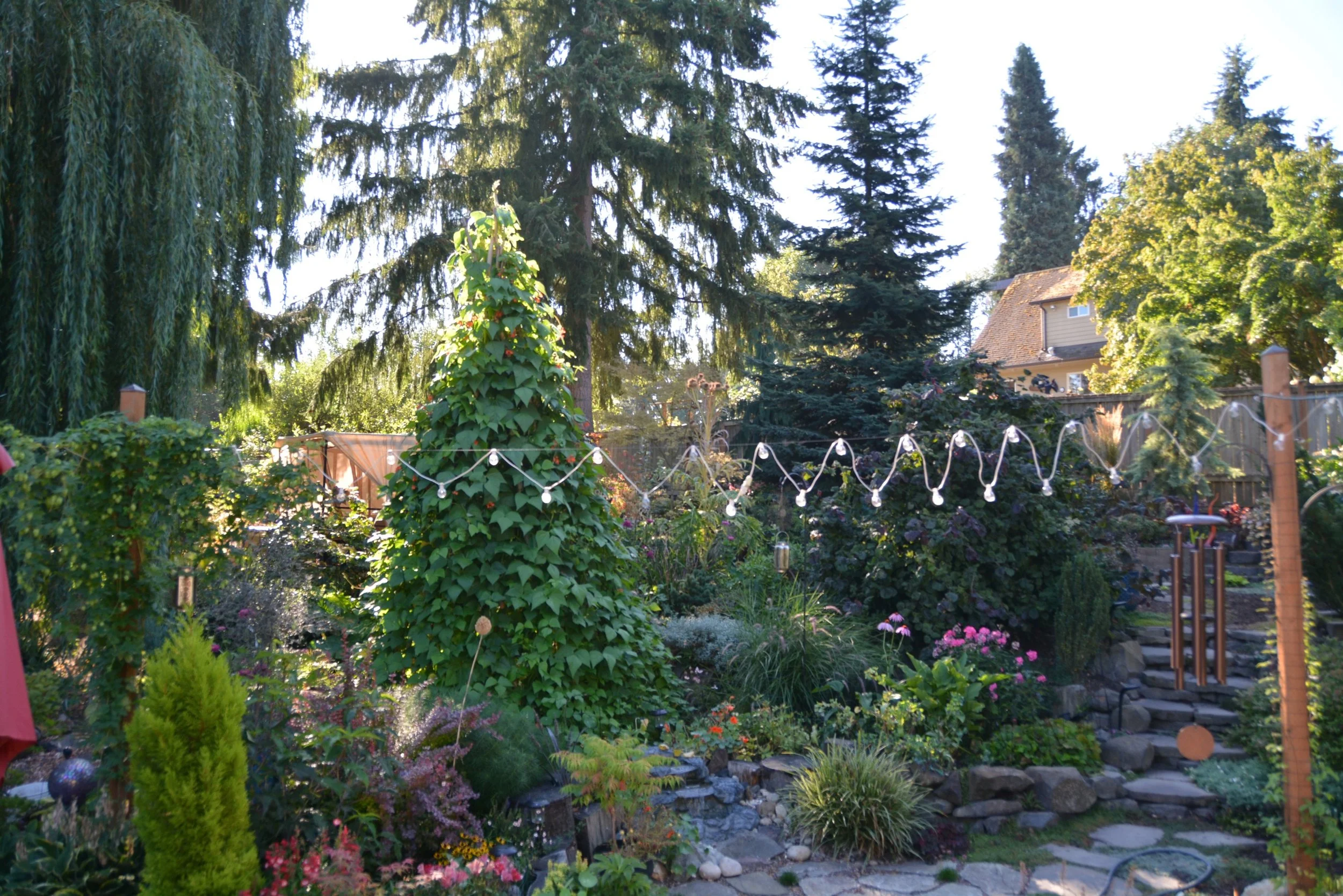 2021: Flowers and foliage everywhere