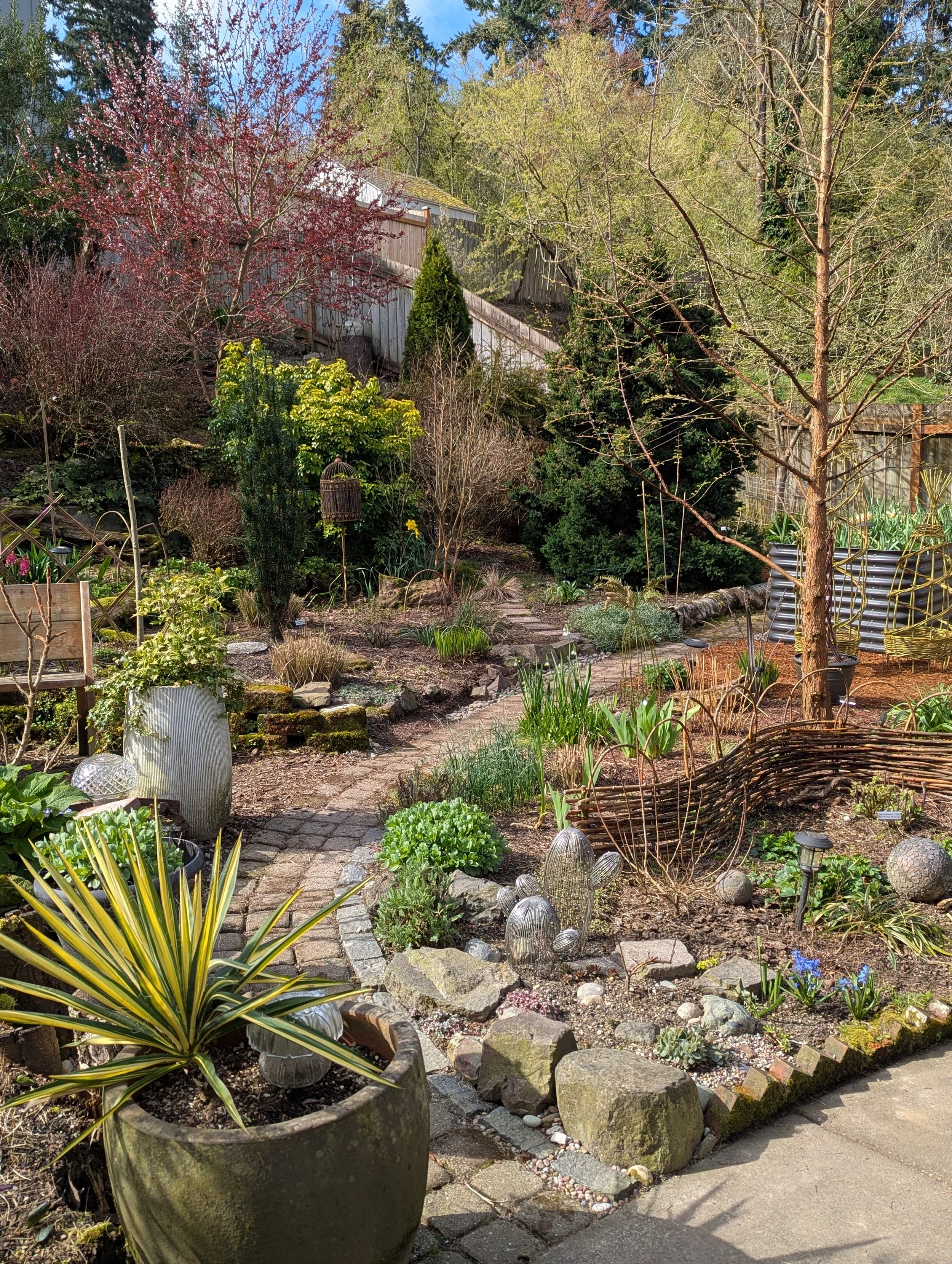 Curving path in the early spring garden
