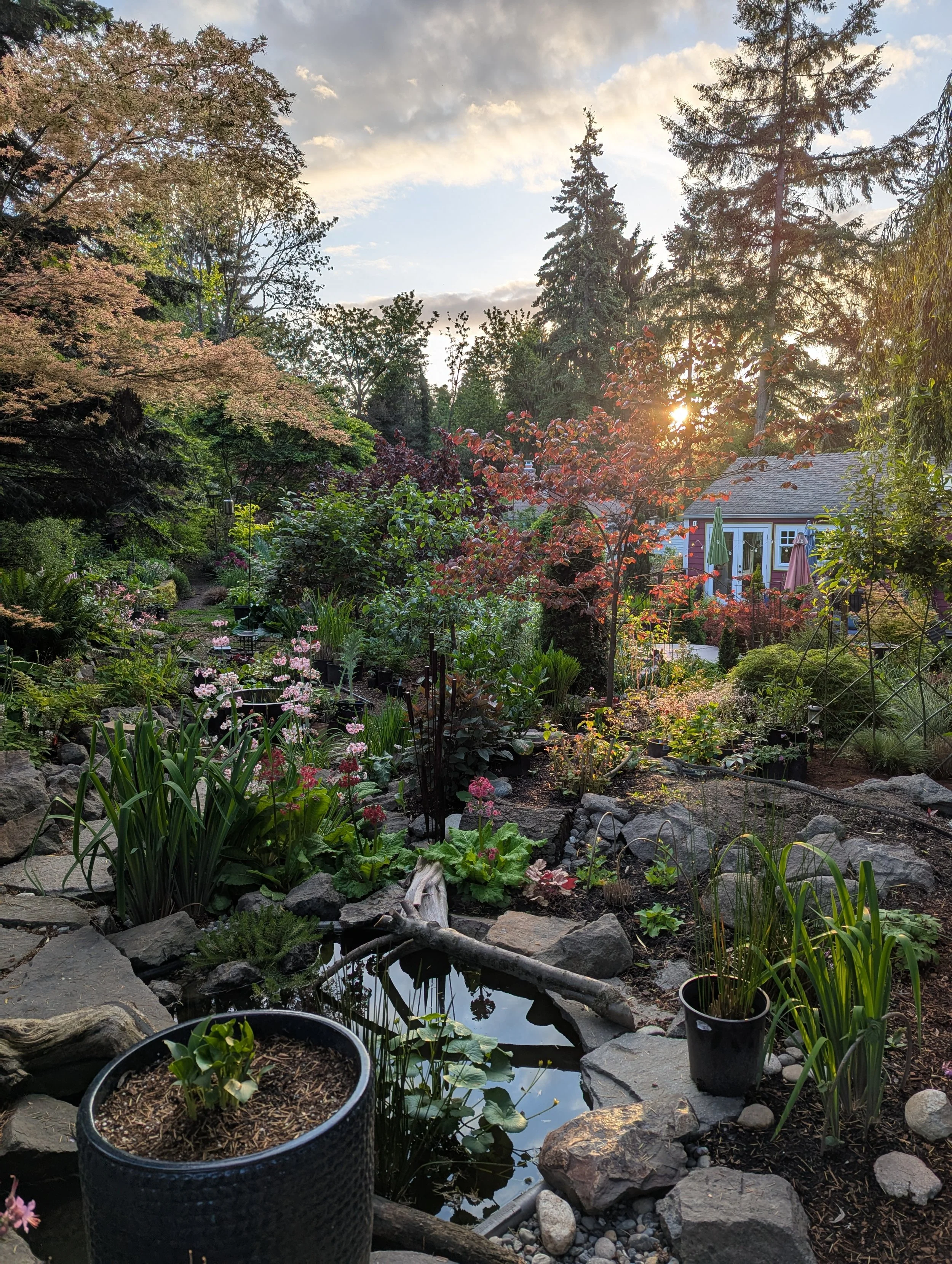 A view of the back garden and small pond at Willows End