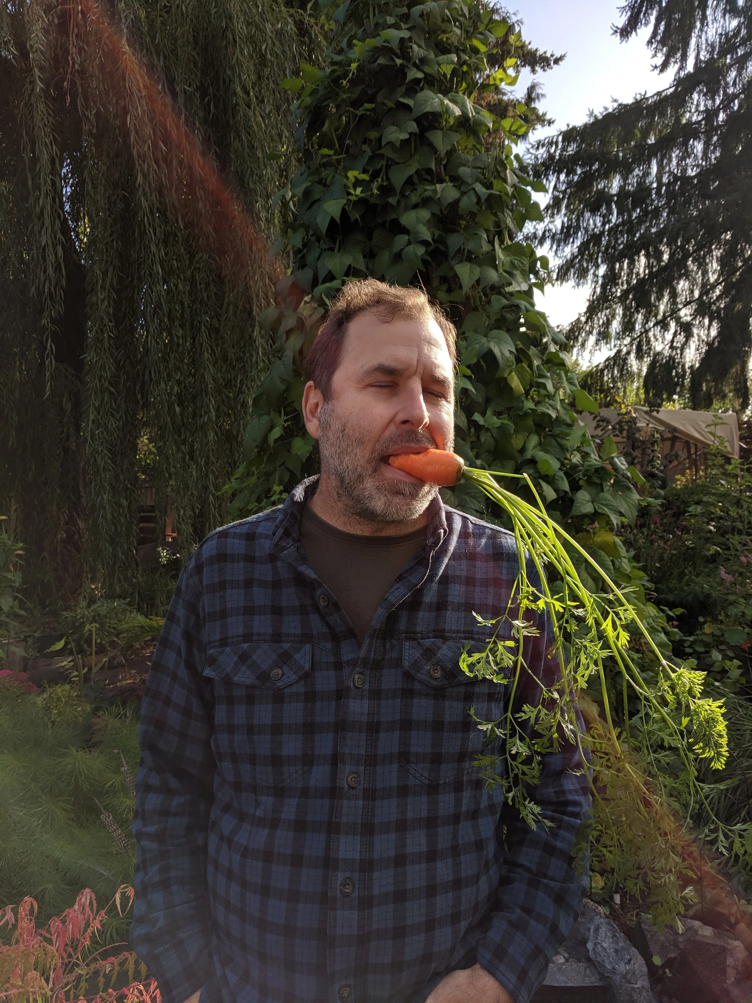 A silly picture of Christopher eating a carrot from the garden