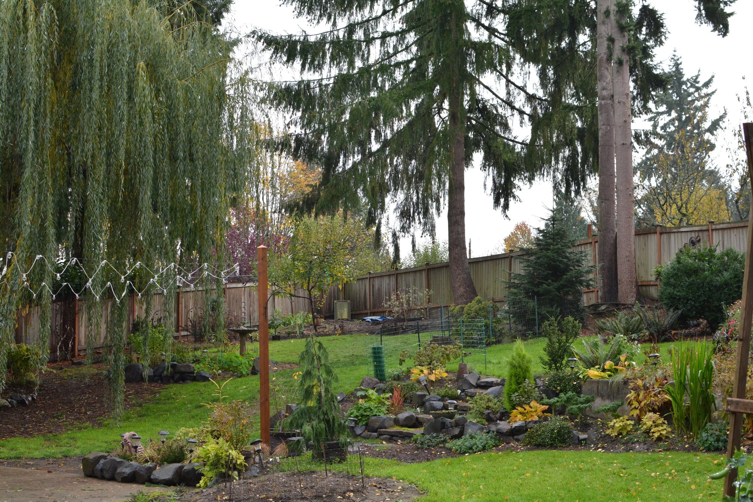 2015: A garden starts to emerge