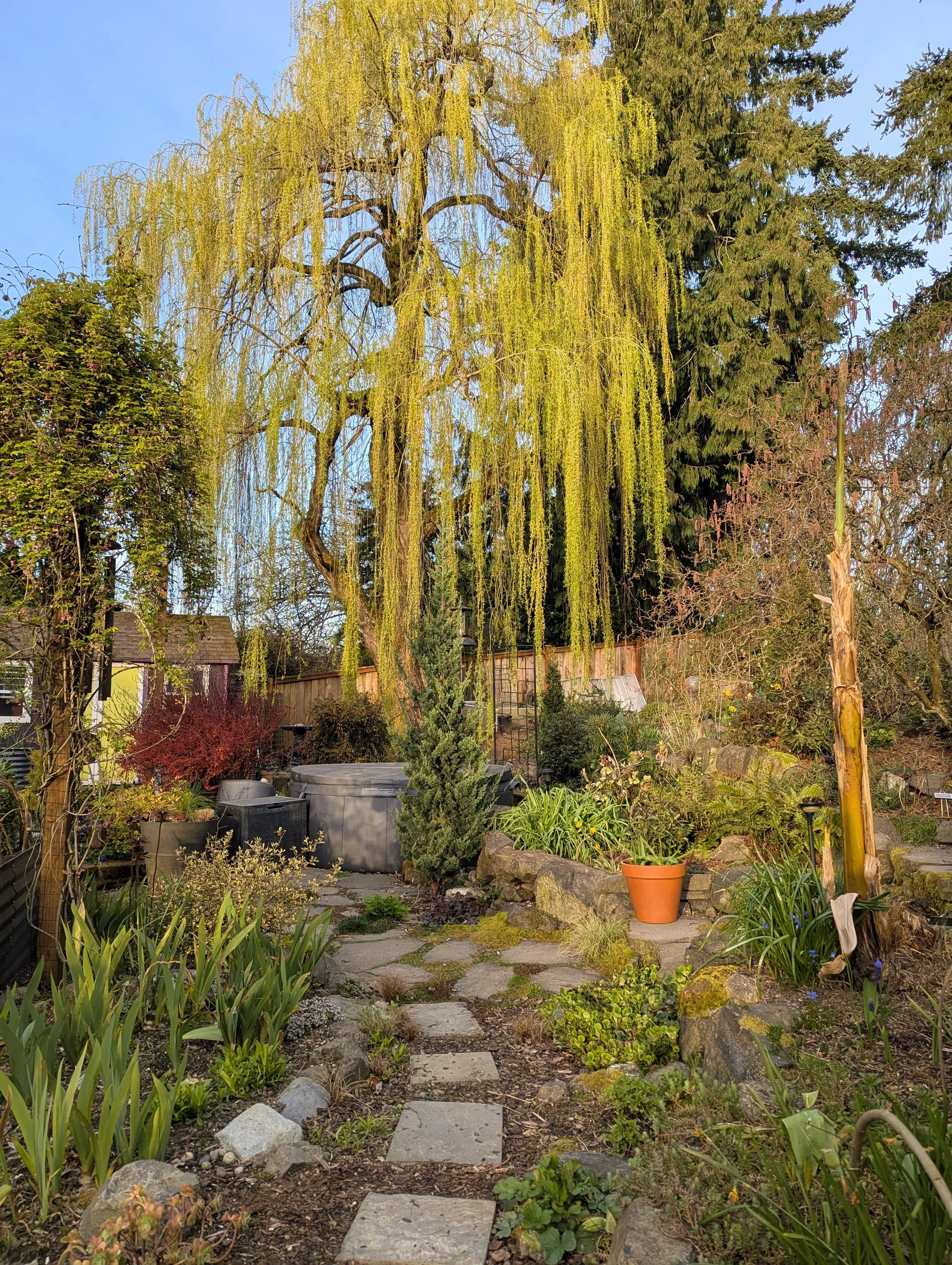 A weeping willow presides over a garden view