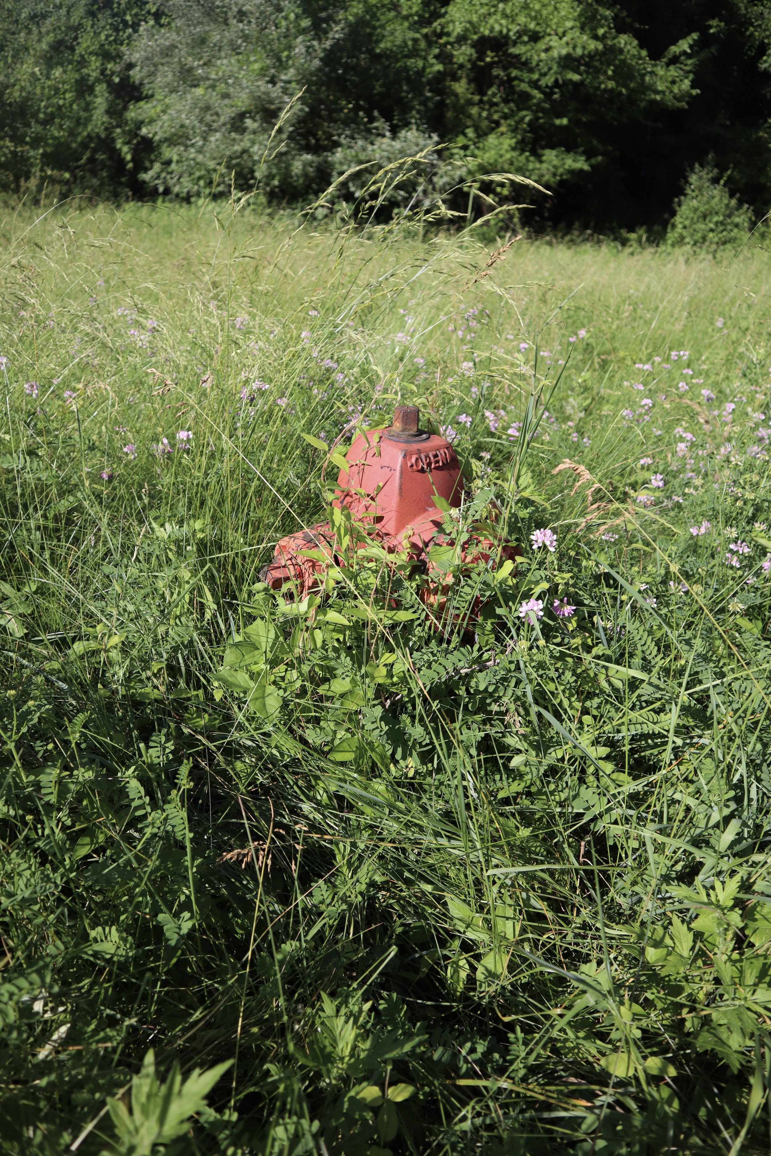 letchworth_hydrant.jpg