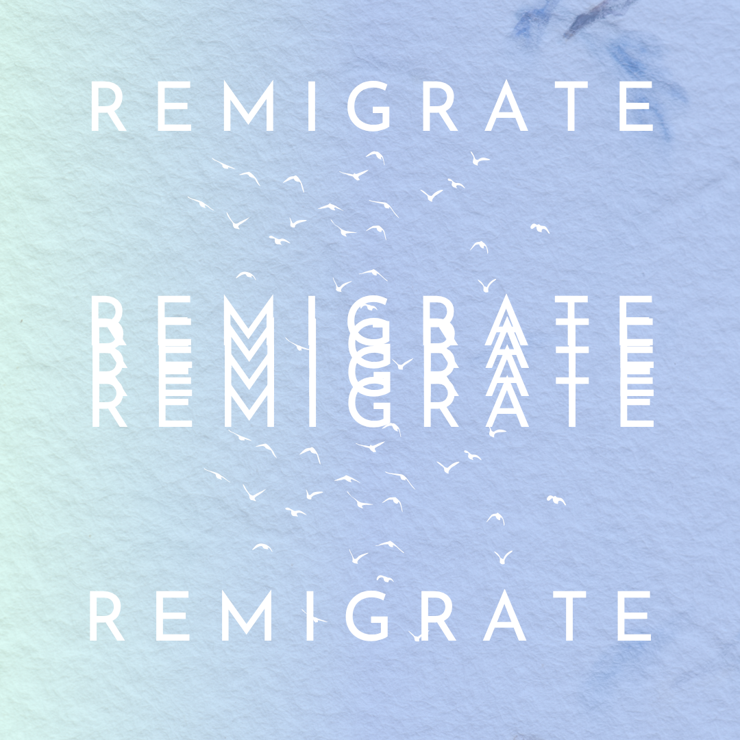 Remigrate Website Cover.png
