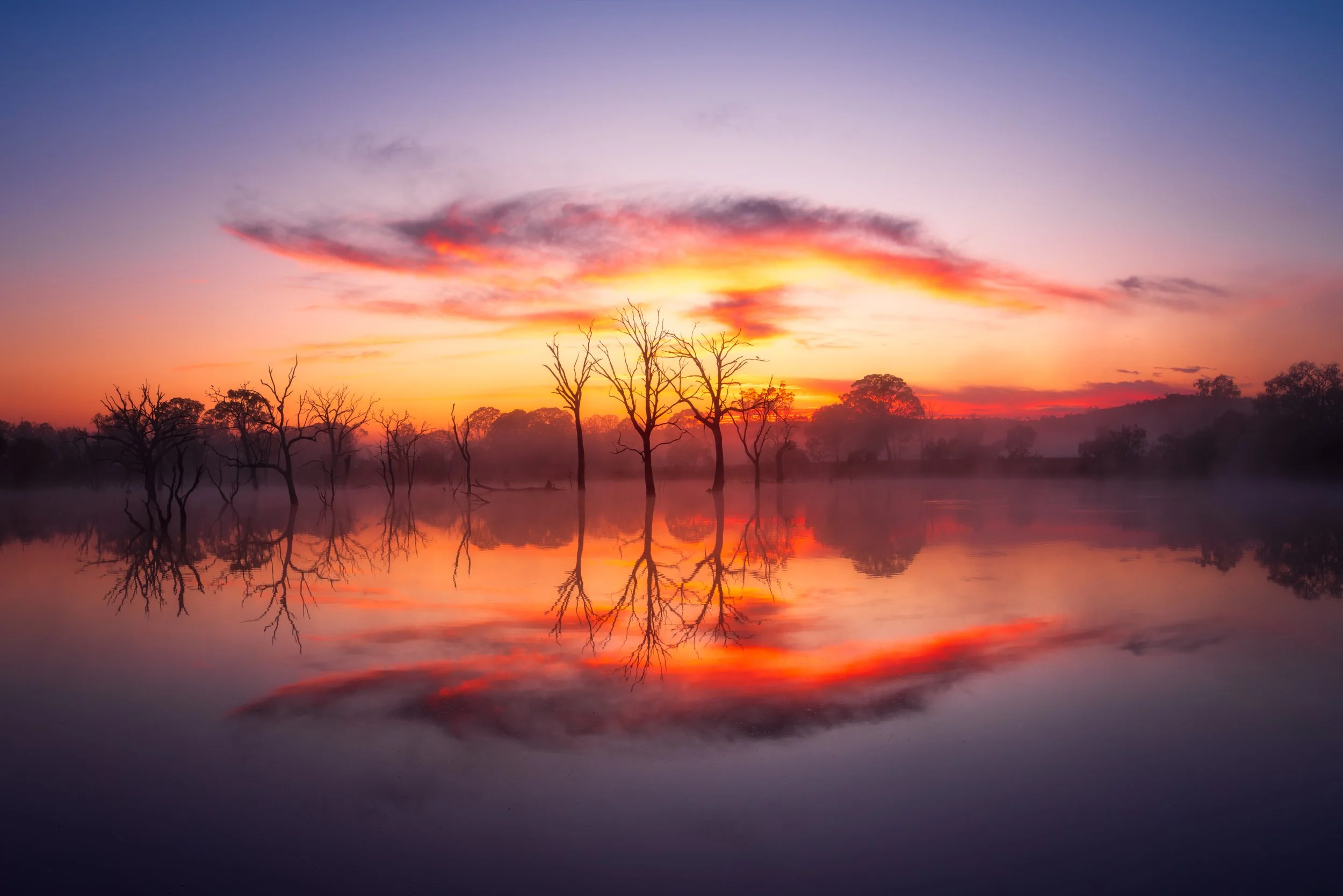 Mulligans Flat Mirror Sunrise