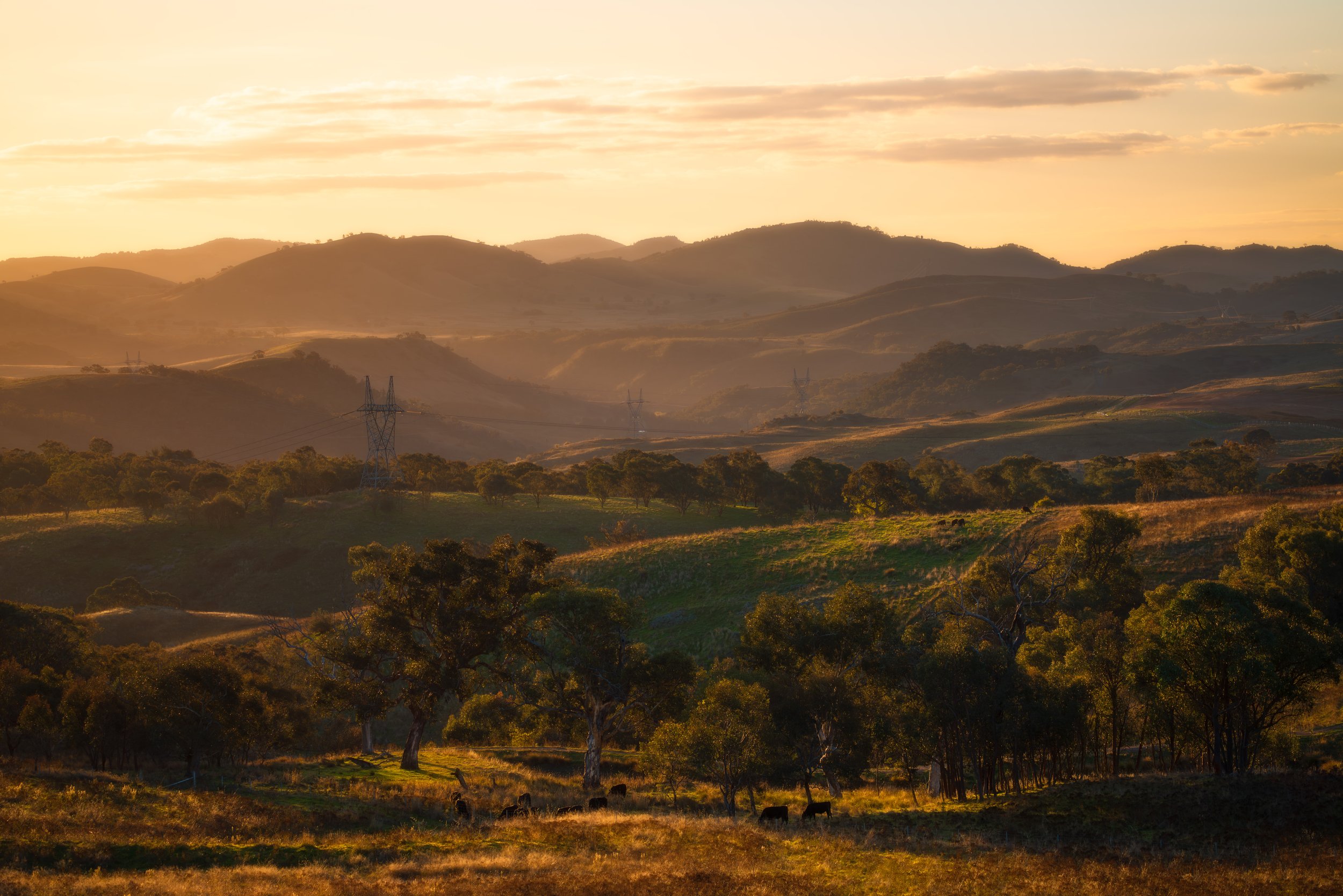 Ginninderry