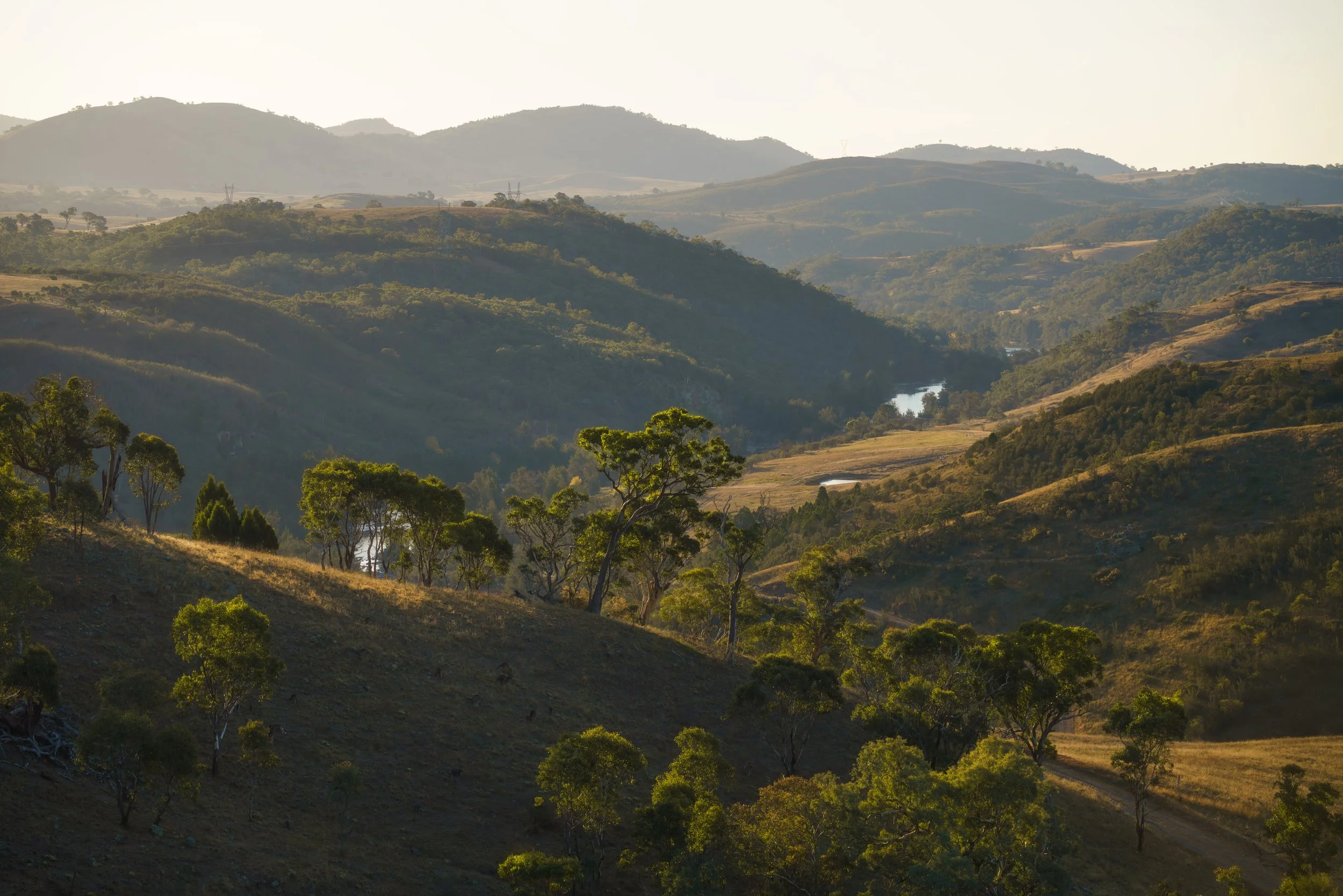 Murrumbidgee in Soft Light