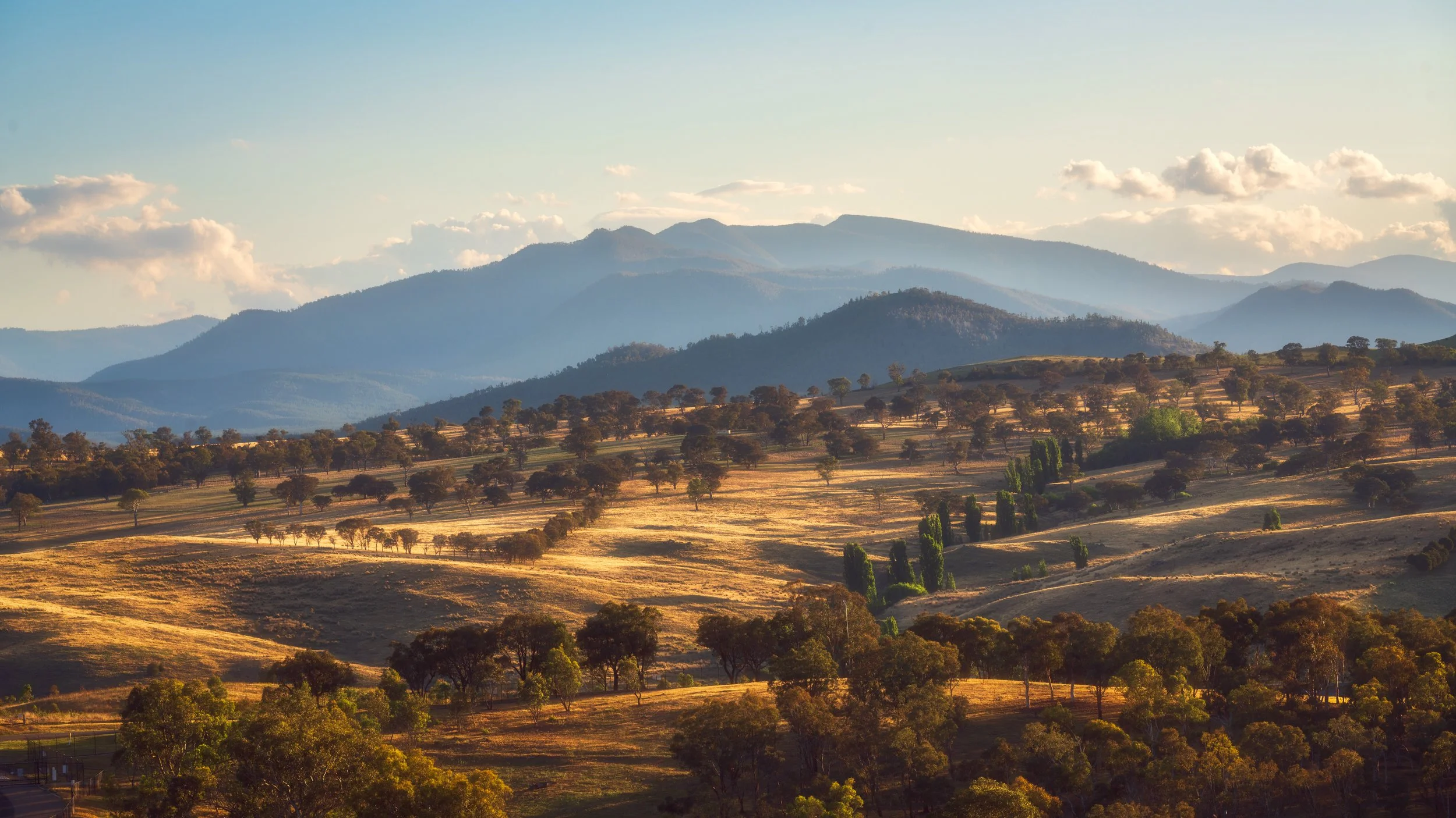 Uriarra Ranges Bathed in Gold