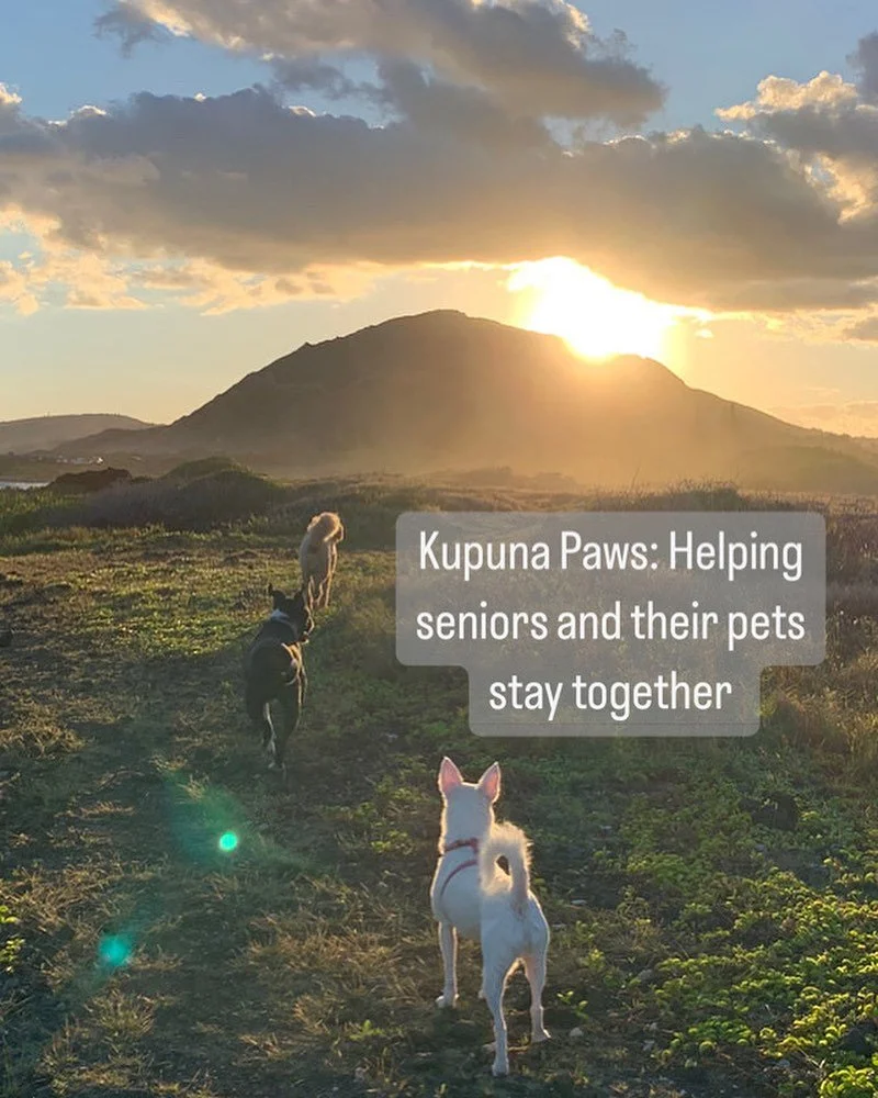 Introducing Kupuna Paws! 🐾
We&rsquo;re a volunteer-driven nonprofit coming soon to Oʻahu, dedicated to helping seniors and their pets stay together.

This mission was inspired by my late dog, Oreo&mdash;adopted as a senior&mdash;who showed me the be
