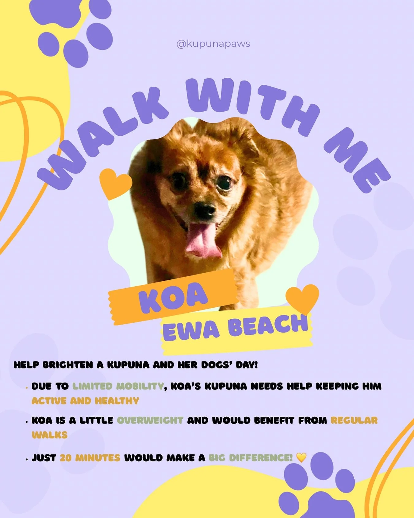 🌿 Volunteer Opportunity &ndash; Ewa Beach 🐾
Meet Koa 💛 a small senior dog whose kūpuna loves him dearly but has limited mobility, making regular walks a challenge. Koa could really use a helping hand (and a walking buddy!) to stay active and healt