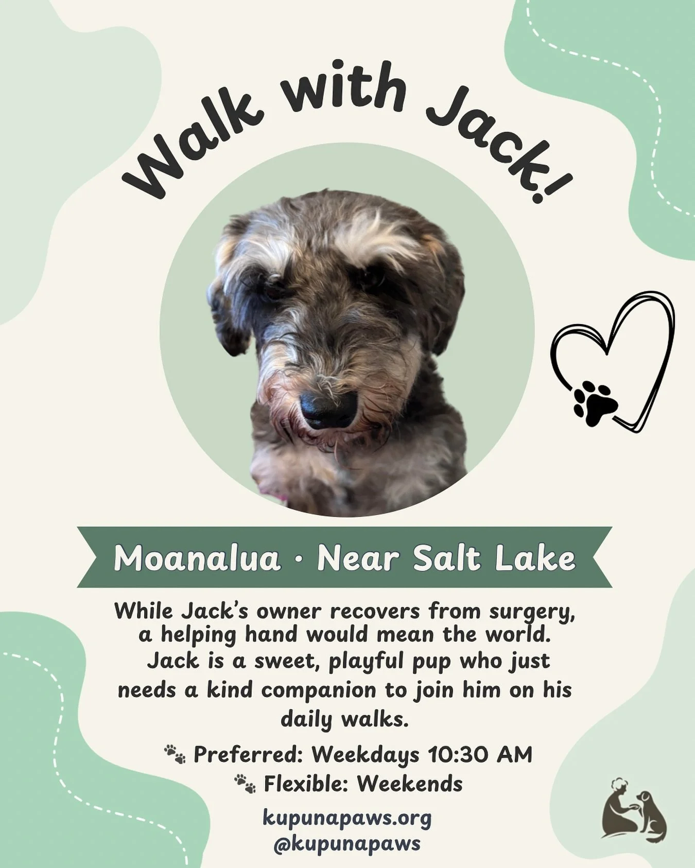 🐶 Walk with Jack in Moanalua 🐾
While Jack&rsquo;s owner recovers from surgery, a helping hand would mean the world. 💛

Jack is a sweet, playful pup who would love a kind companion to join him on his daily walks. Even one walk a week makes a big di