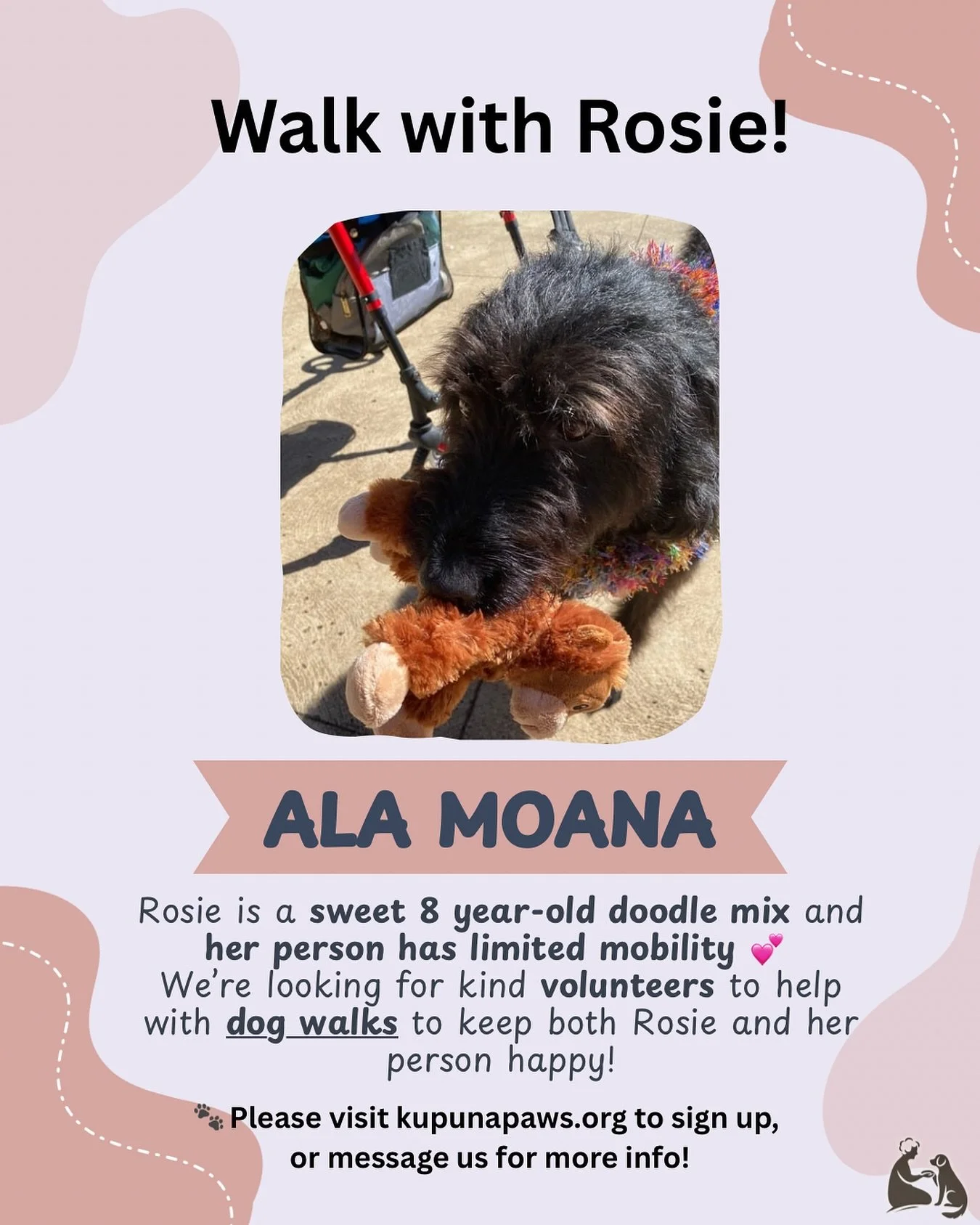 🐶 Rosie lives in Ala Moana, and her person has limited mobility.
We&rsquo;re looking for volunteers to help with dog walks and bring them both a little more joy 💕

👉 Visit kupunapaws.org to sign up or DM @kupunapaws for more info!