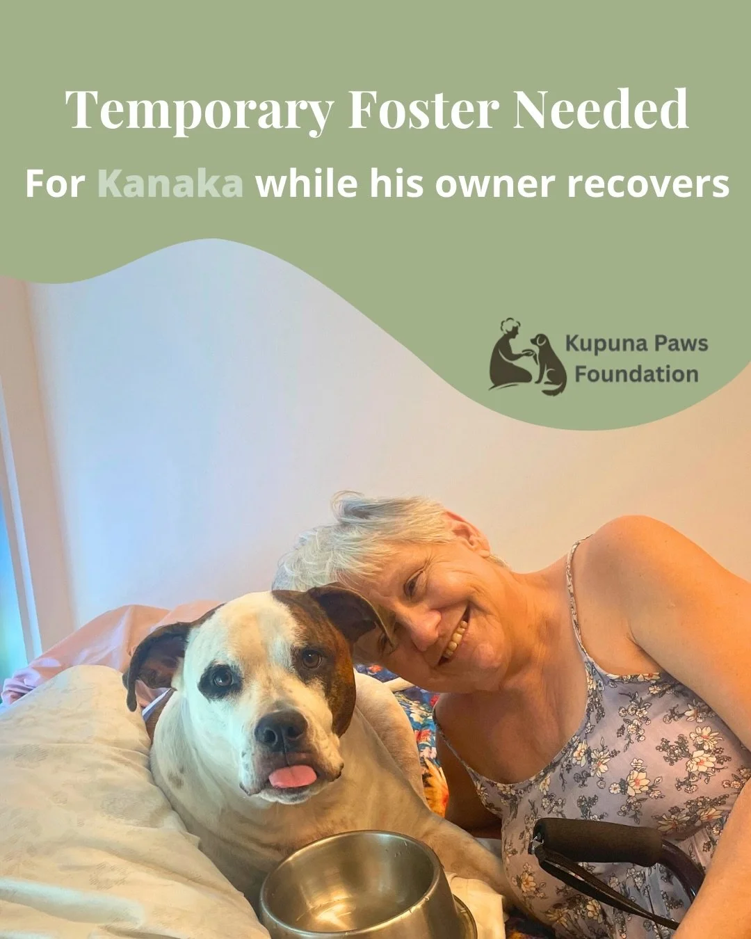 FOSTER NEEDED for Kanaka 💛

Kanaka&rsquo;s owner is preparing for surgery soon, and this gentle guy needs a temporary foster home while she recovers. 💕

Kanaka is a sweet, calm, gentle pittie mix who loves people, naps, and treats. 
He&rsquo;s pott
