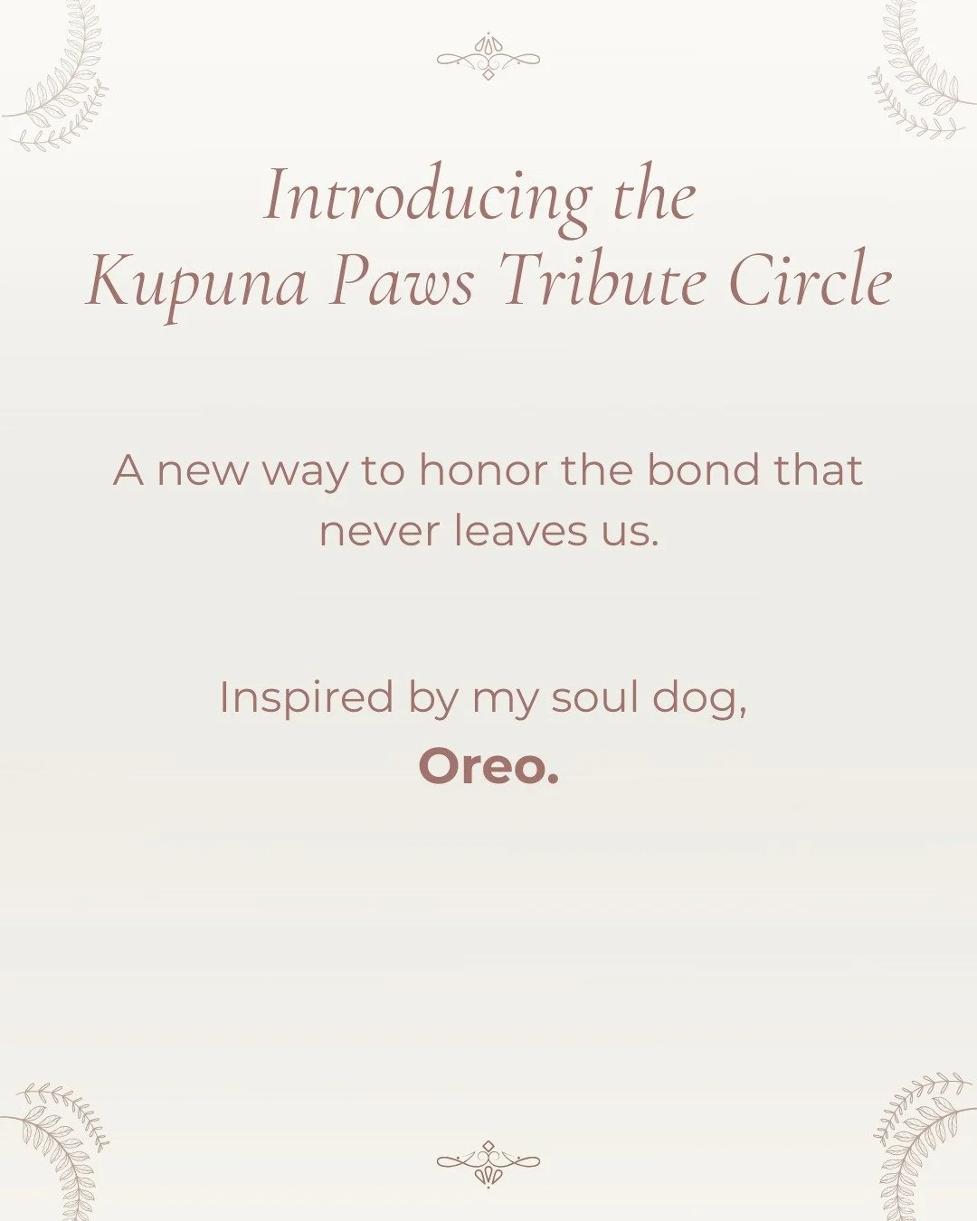 A new way to honor the bond that stays with us forever.

On this Giving Tuesday, I&rsquo;d like to share something very close to my heart: the Kupuna Paws Tribute Circle, a space to honor the special people and pets who&rsquo;ve touched our lives.

I