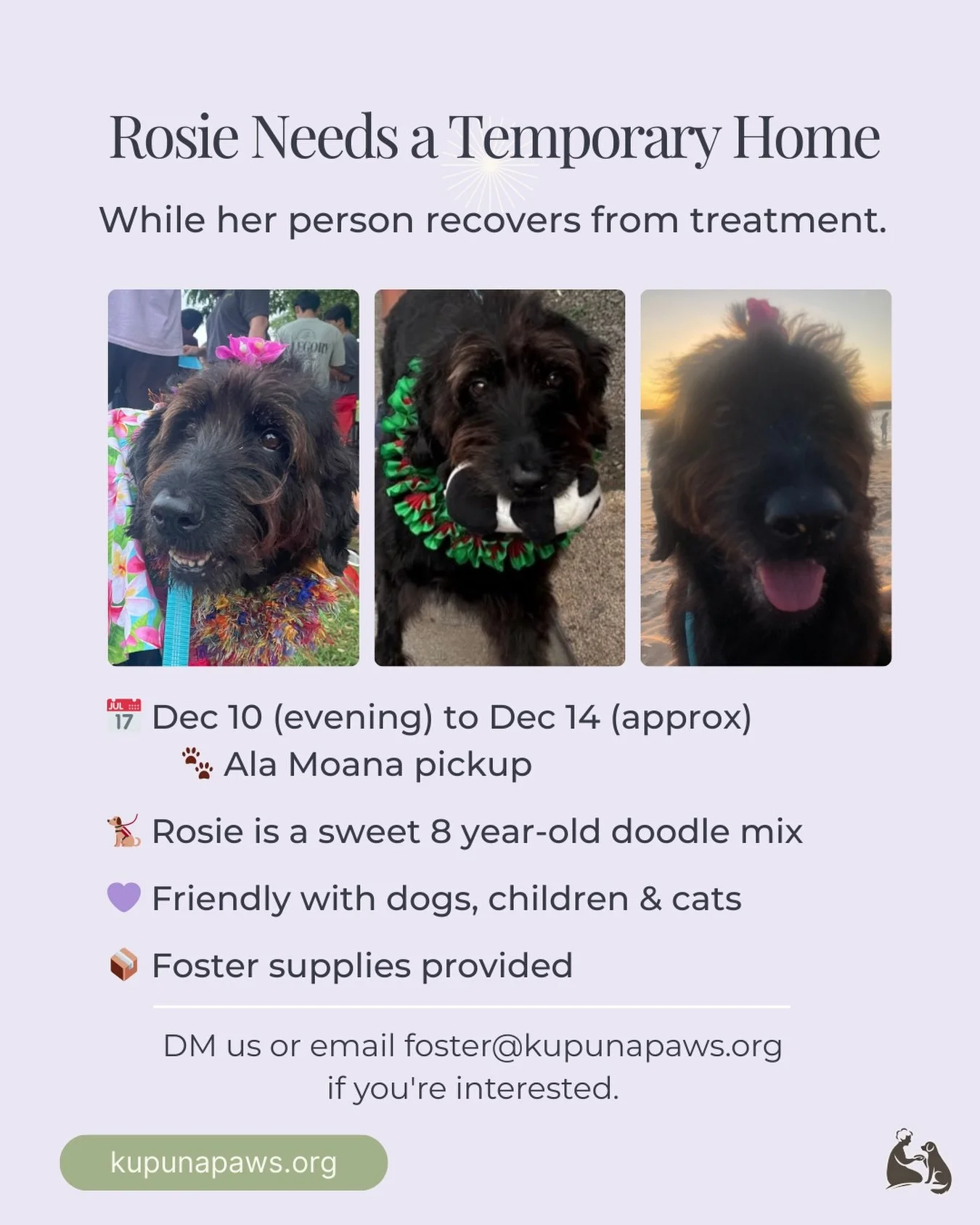 Rosie needs a temporary foster!
📅 Dec 10&ndash;14
She&rsquo;s gentle, sweet, and just needs a safe place while her person recovers.
Supplies provided. 

DM us if you can help or want more info.