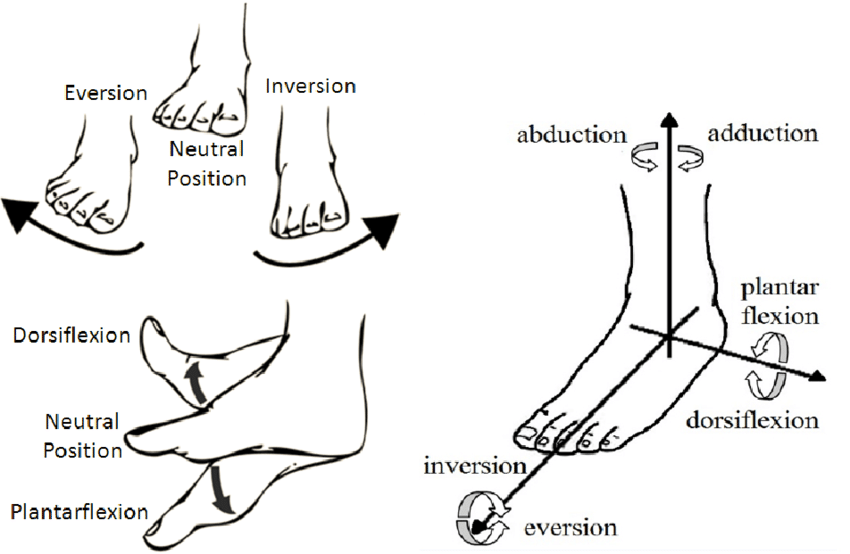 Train Your Darn Ankle — Tempest Health CO
