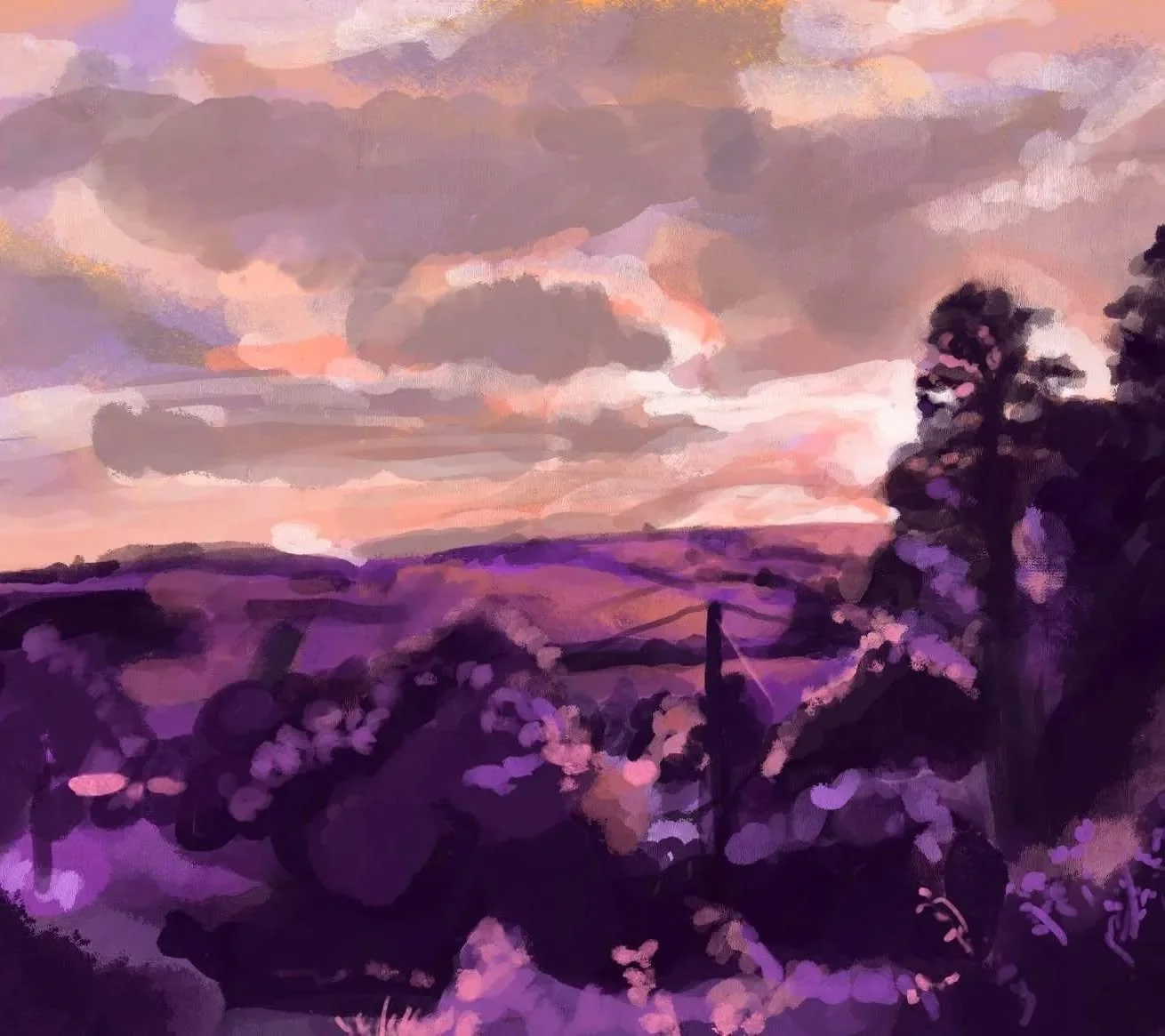 A digital painting of a view from Yorkshire back in August - I love abstract palettes at the moment especially complimentary colours 💜🧡

#landscapepainting #digitalart #procreate #procreateillustration #digitallandscape #analogouscolors #digitalill