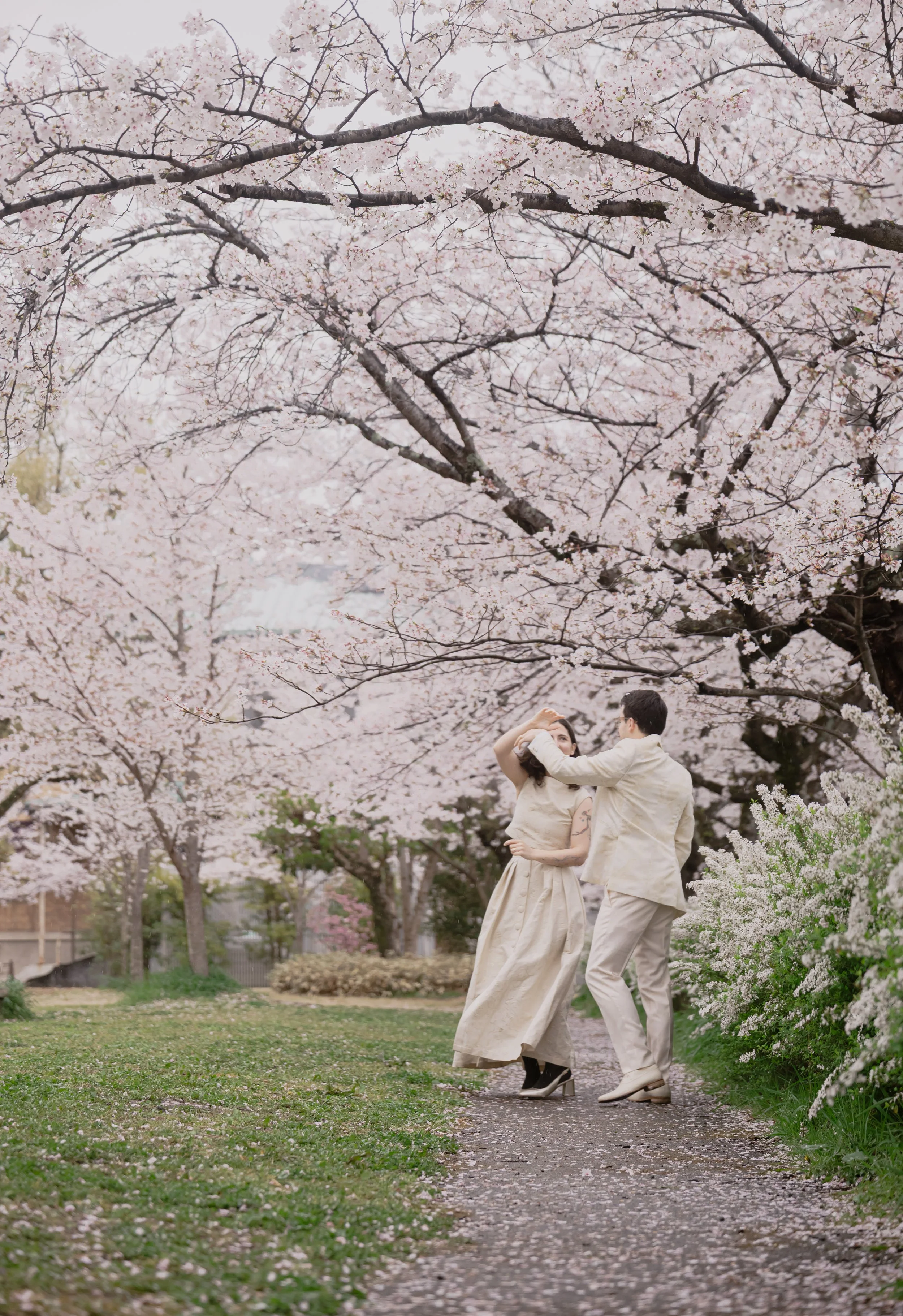 A couple twirling under blooming cherry blossom trees in a park.
