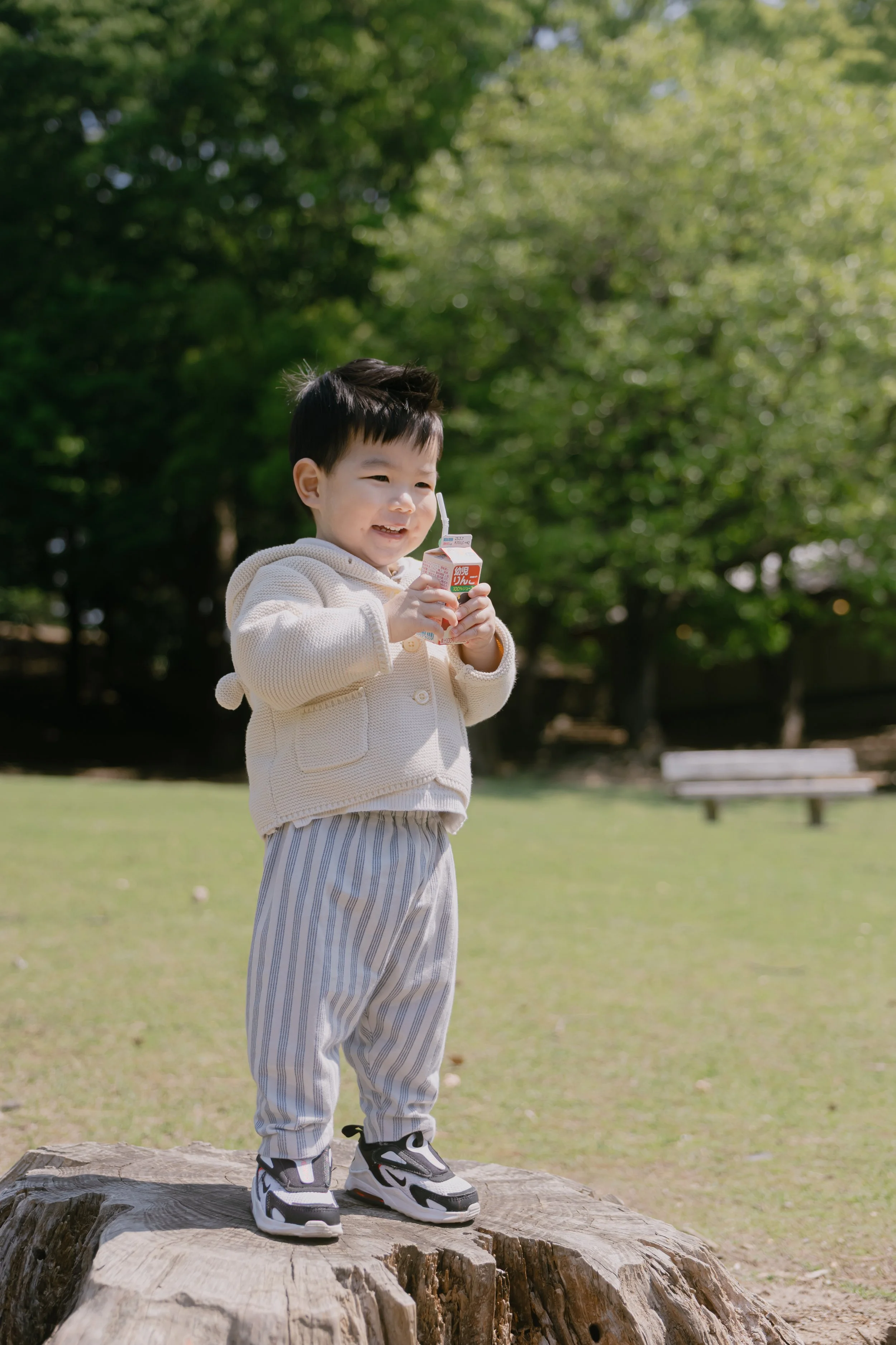 A young boy in striped pants, a beige hoodie, and sneakers standing on a tree stump in a park, holding a small juice box and smiling.