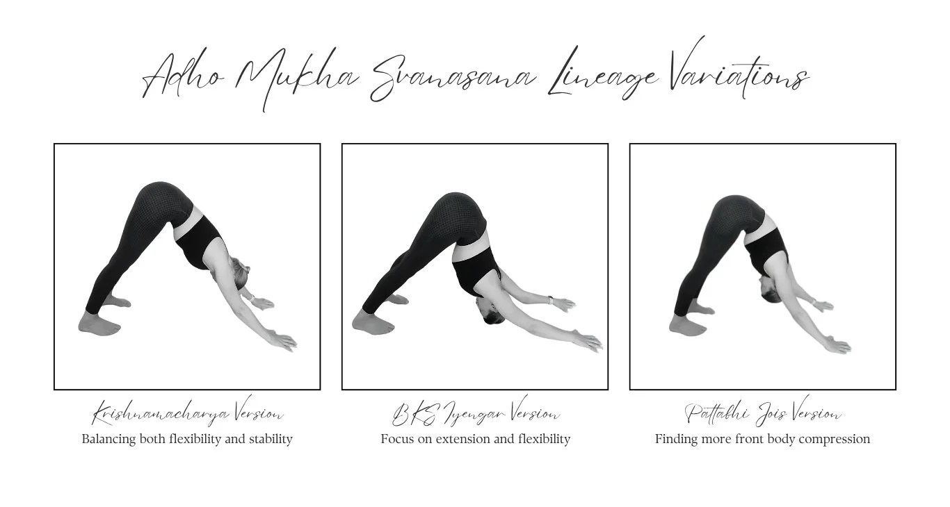 Downward facing Dog Variations