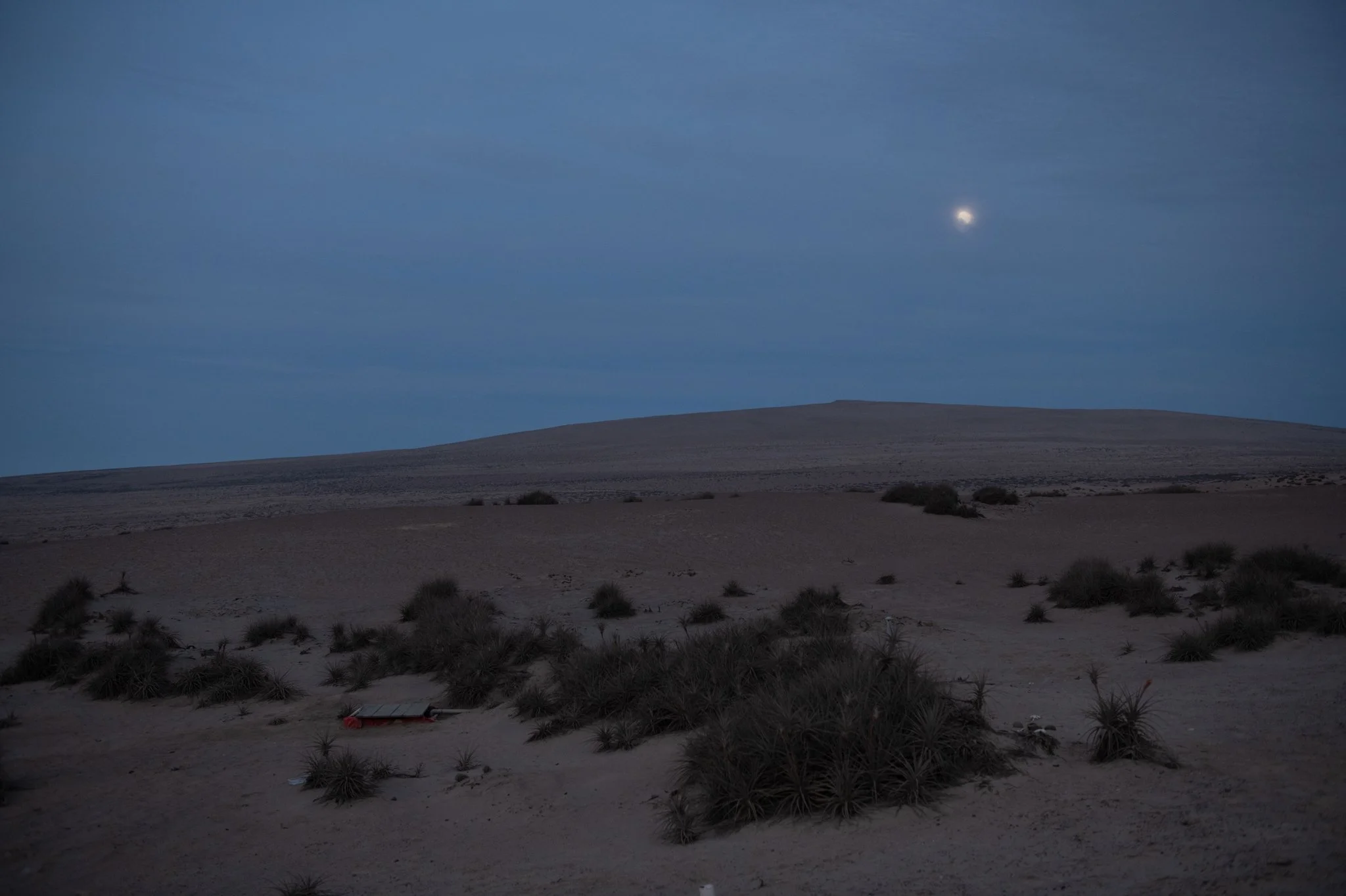 _JMS0215.jpg