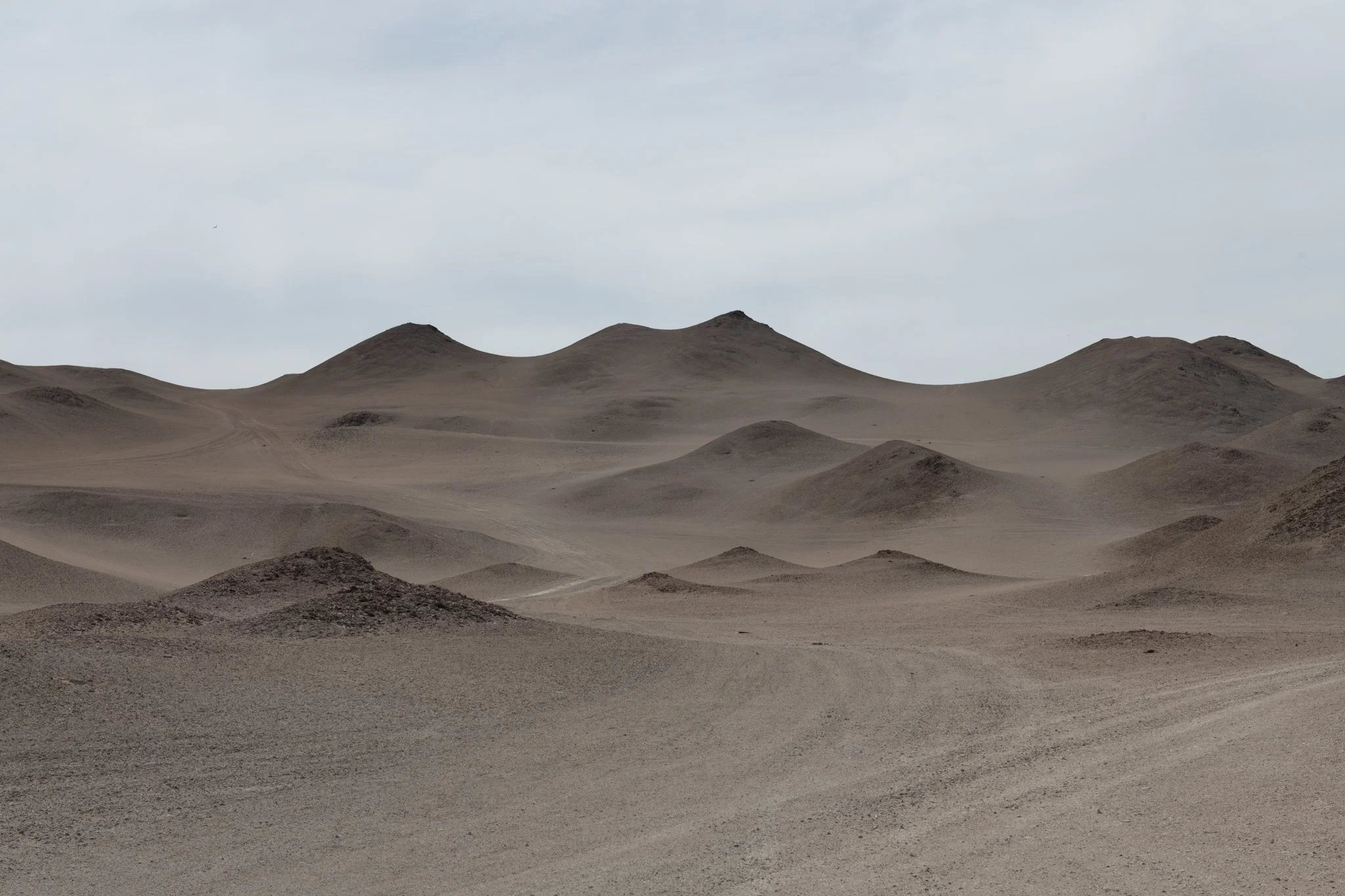 _JMS0297.jpg