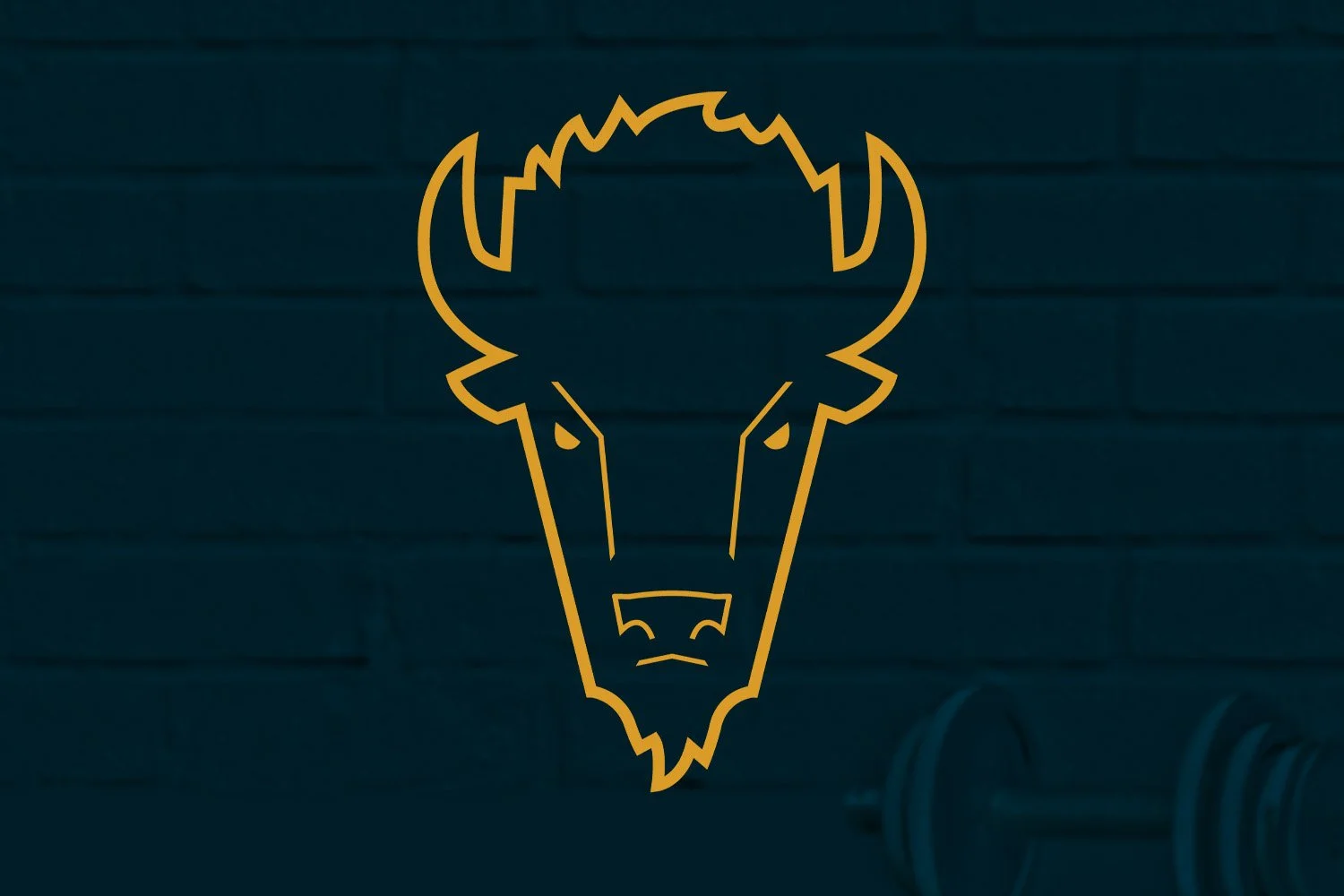 Get Some Fitness Branding & Environment Concepts