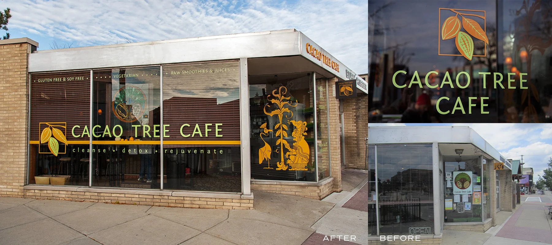 0 Cacao Tree - Before & After edit01.jpg