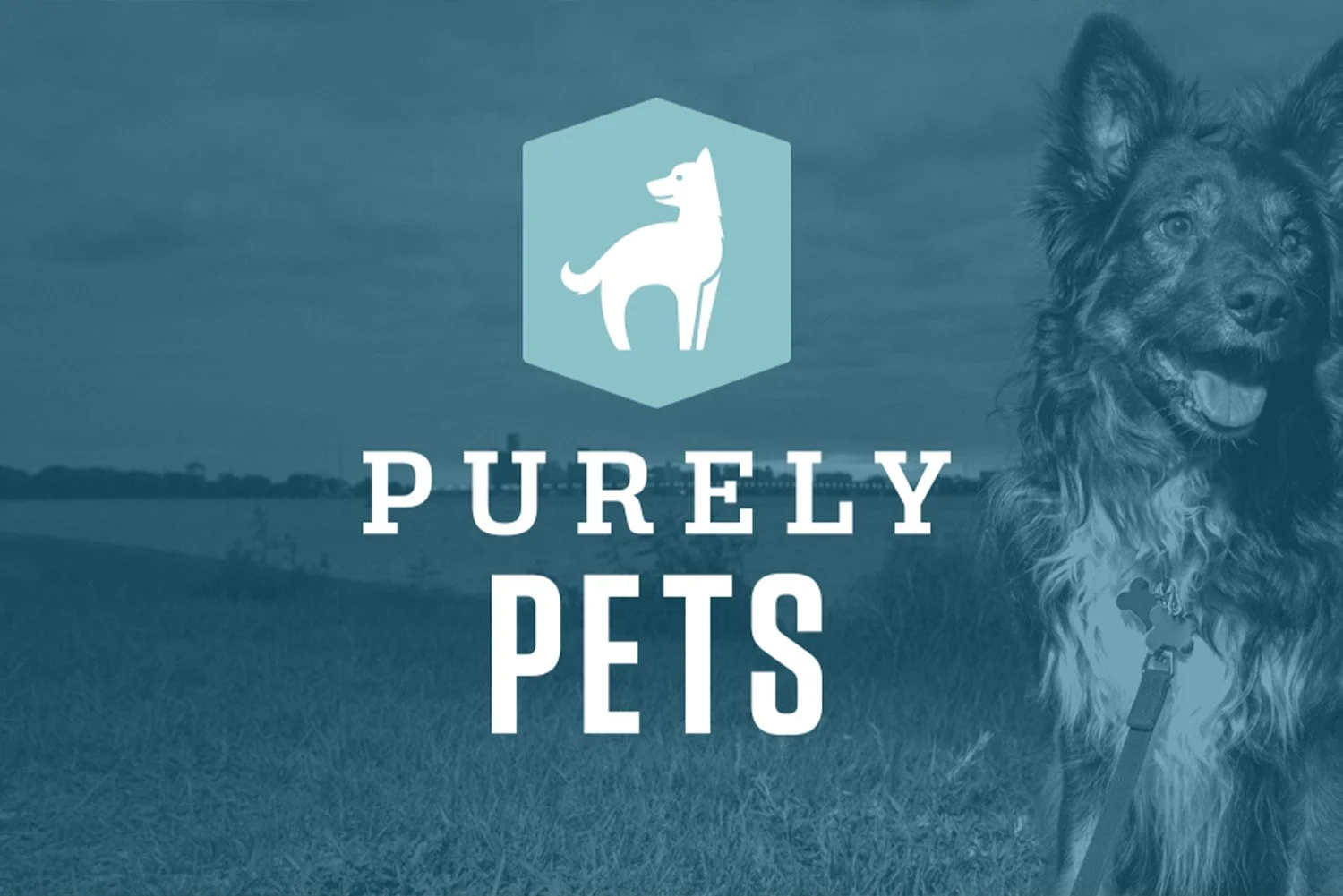 Purely Pets Branding & Retail Experience