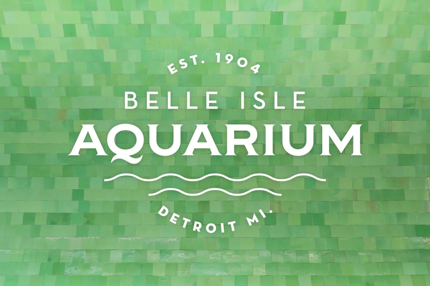 0 BIAQ Tile Logo 1500x1000 v2.jpg