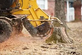 Stump Grinding & Stump Removal