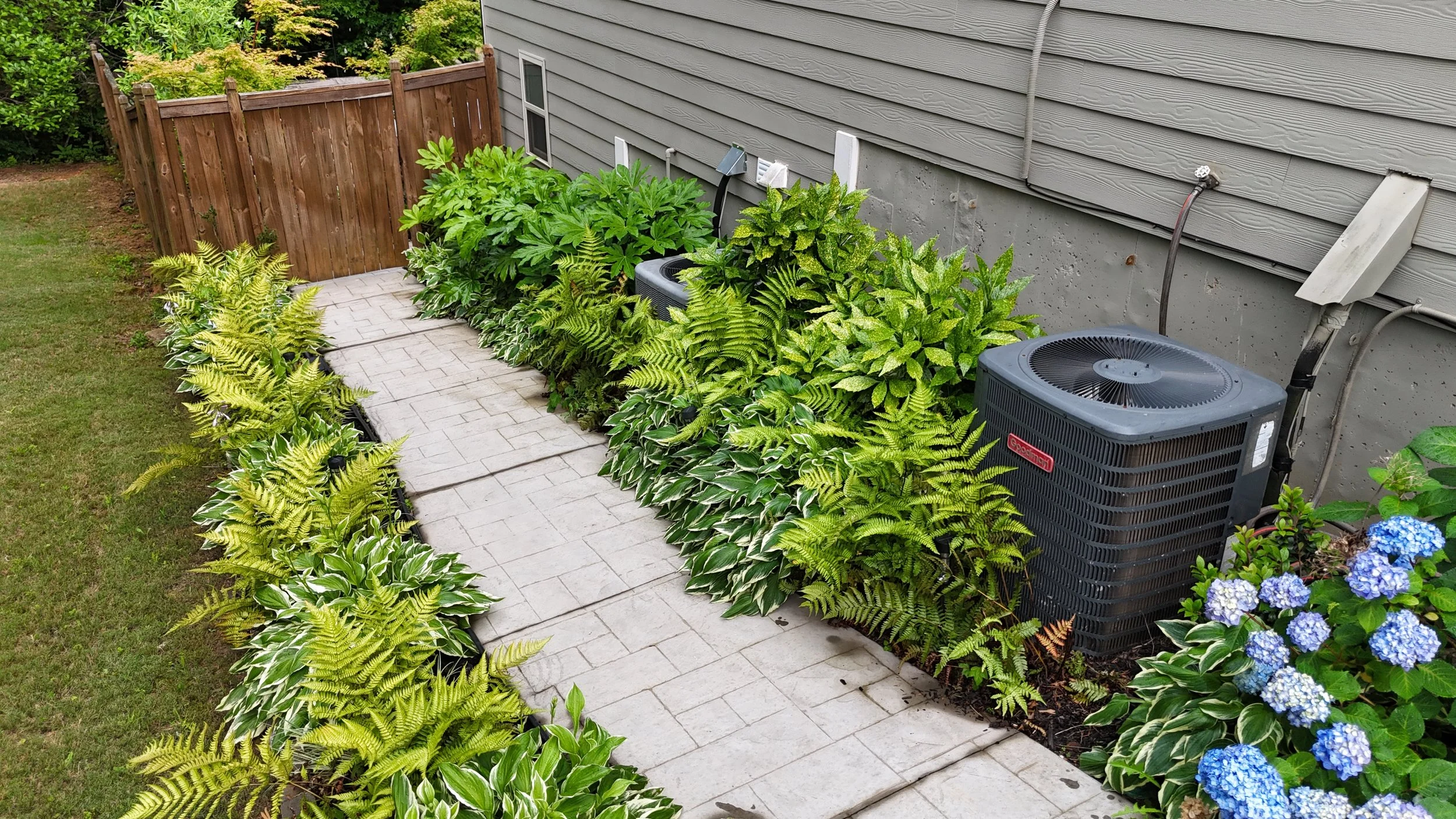 Side yard with a paved walkway, lush green plants, a wooden fence at the back, air conditioning units, and hydrangea flowers.