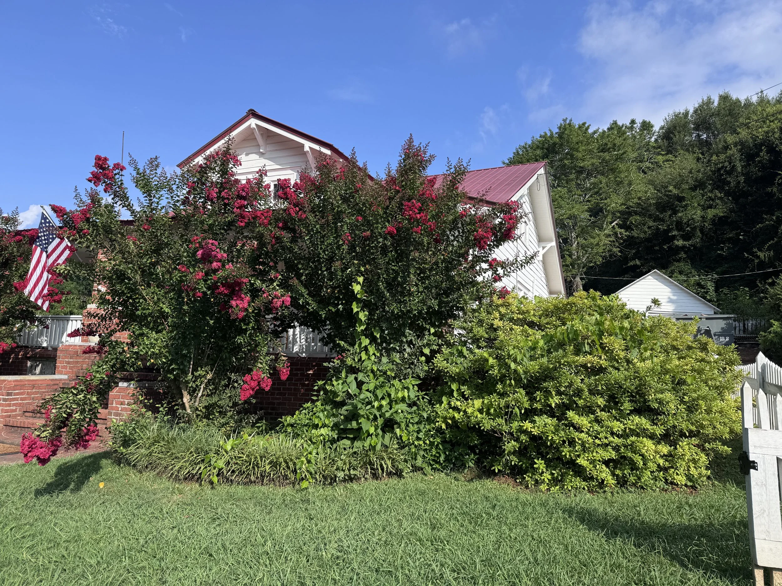 Front Yard Right Side Before