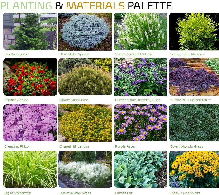    Plant Palette Example #1