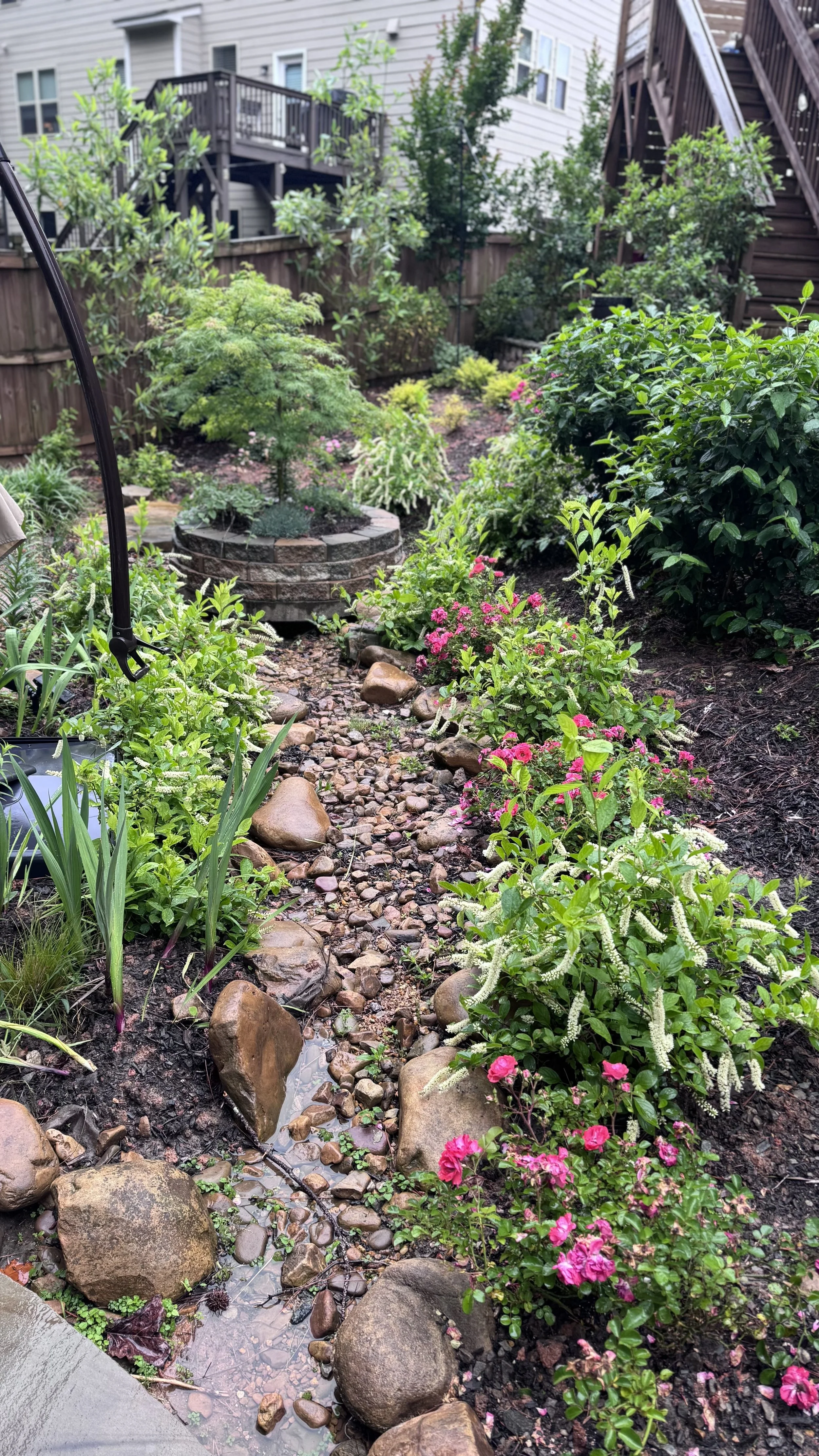 Backyard After Photo