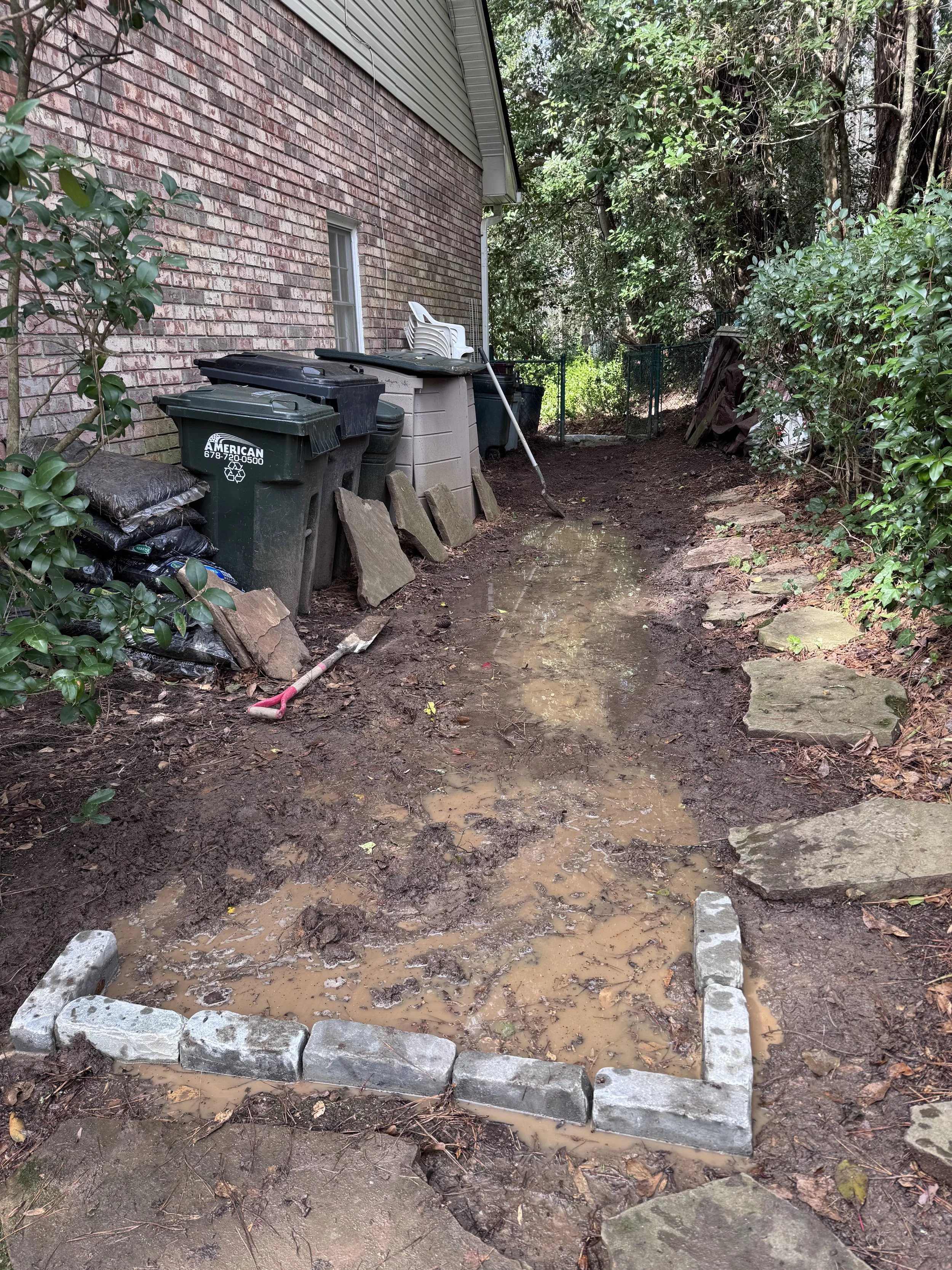 Natural Pathway Before