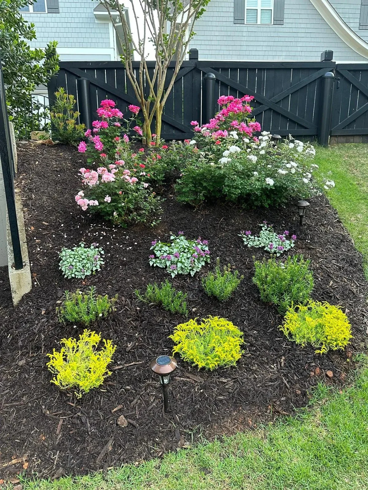 Julies Backyard.jpg