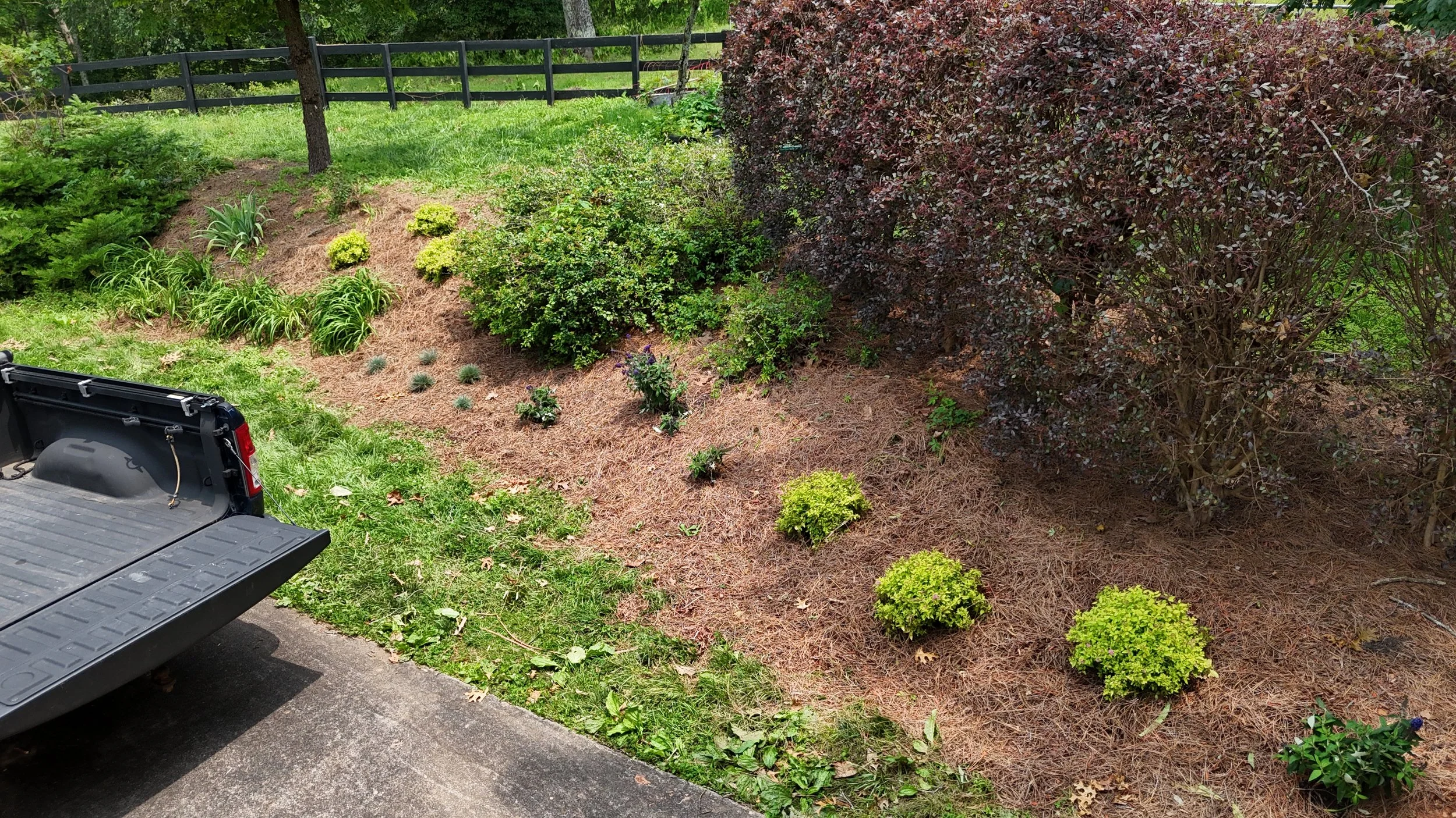 A landscaped area next to a driveway with various green bushes and shrubs, some with purple flowers, and a black wooden fence in the background.