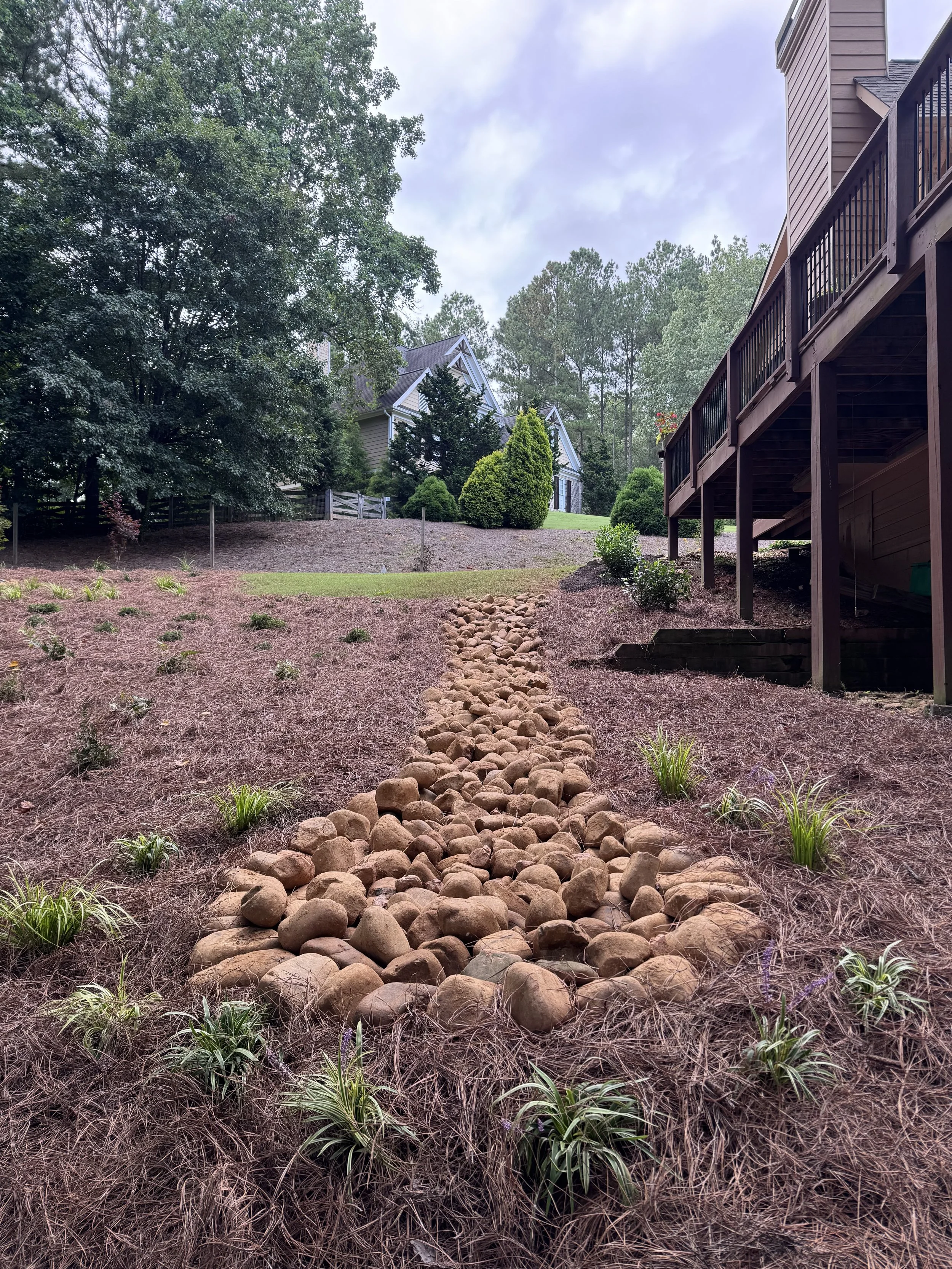 A backyard landscape with a gravel path made of rounded stones, surrounding small plants and bushes, leading up to a lawn with larger trees and houses in the background, under a partly cloudy sky.