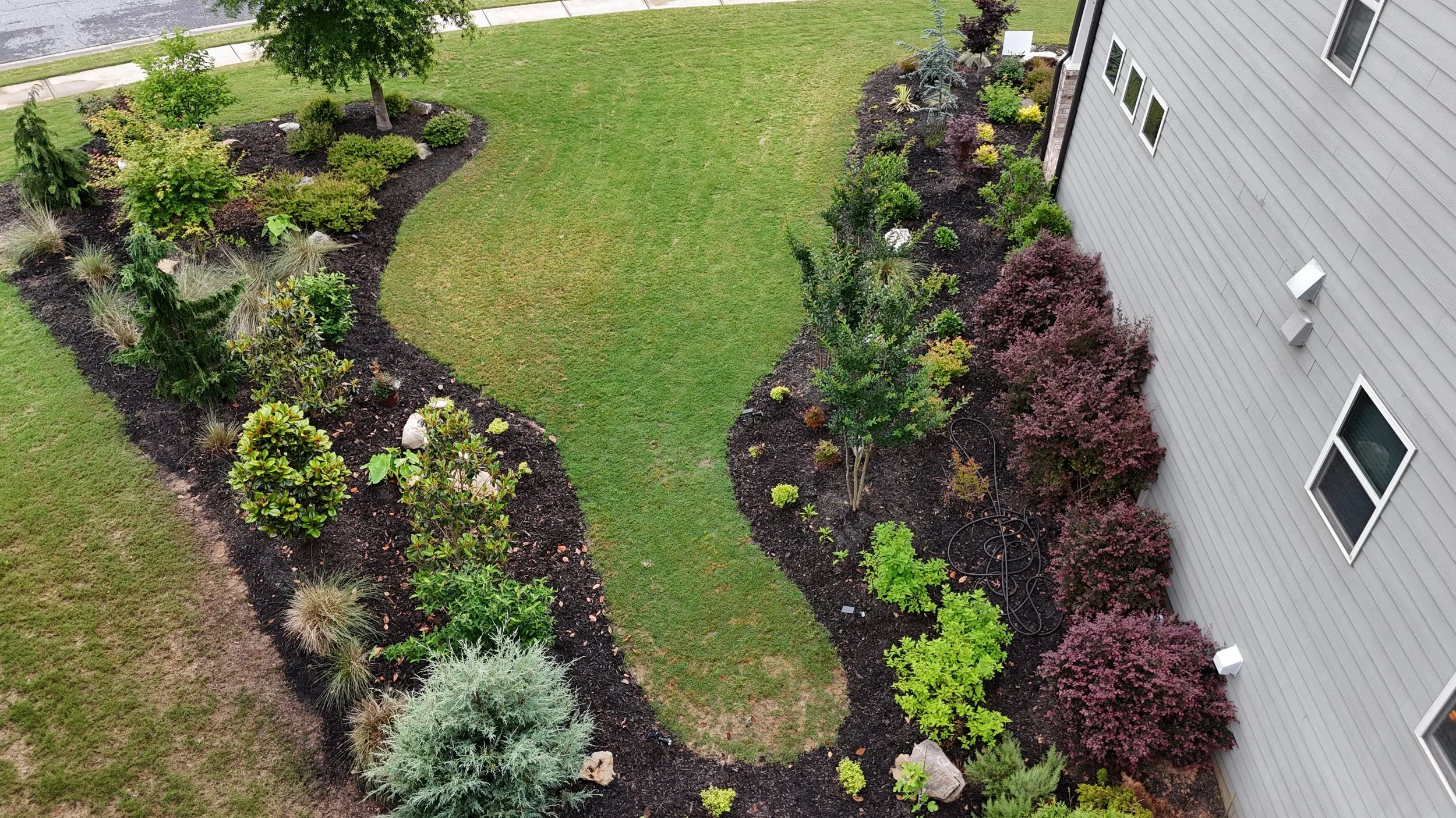 A landscaped backyard garden with a curved grass walkway, various shrubs, plants, and trees along a gray house wall with small and medium-sized windows.