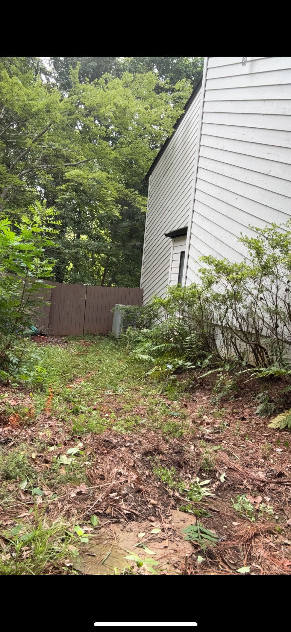  Slate Chip Pathway Before