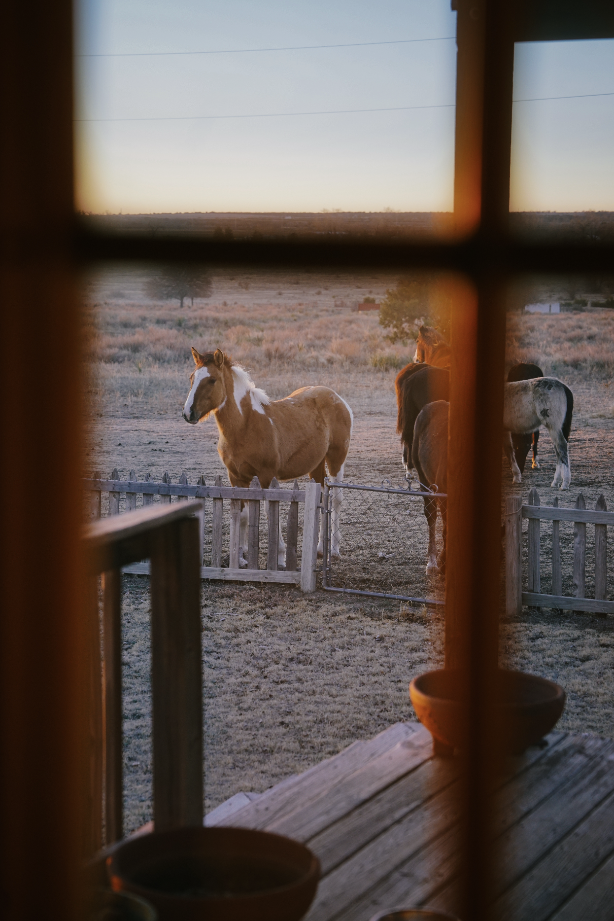 Screenshot 2025-05-13 at 8.21.44 PM.png