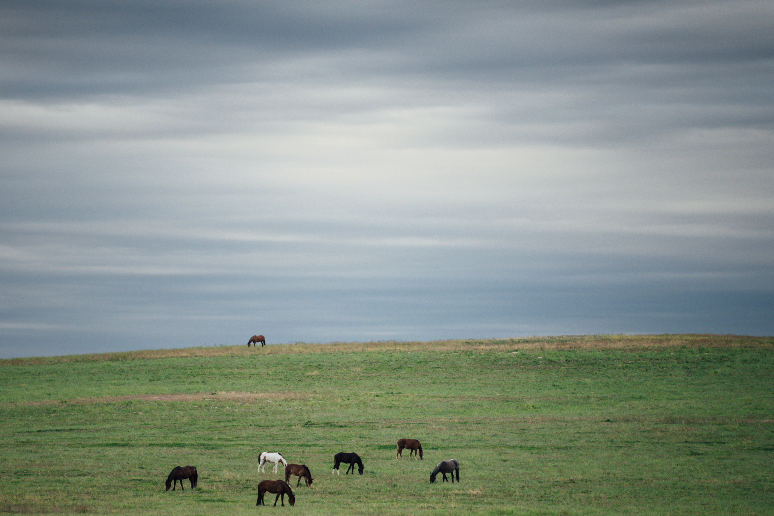 Screenshot 2025-05-13 at 8.53.15 PM.png